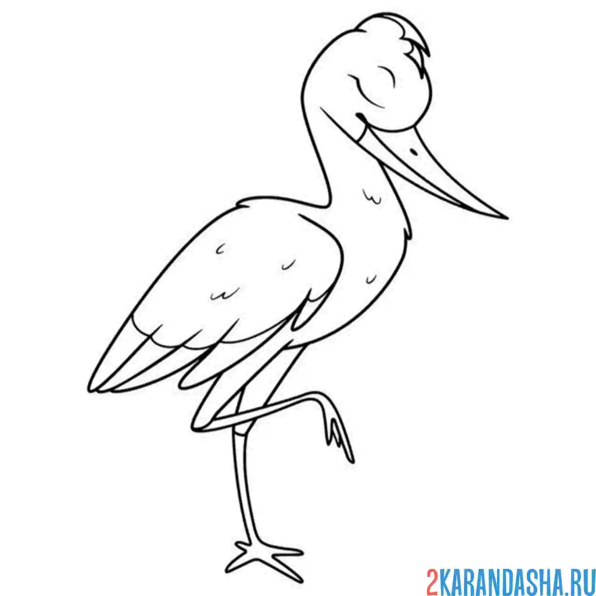 Раскраска аист спит