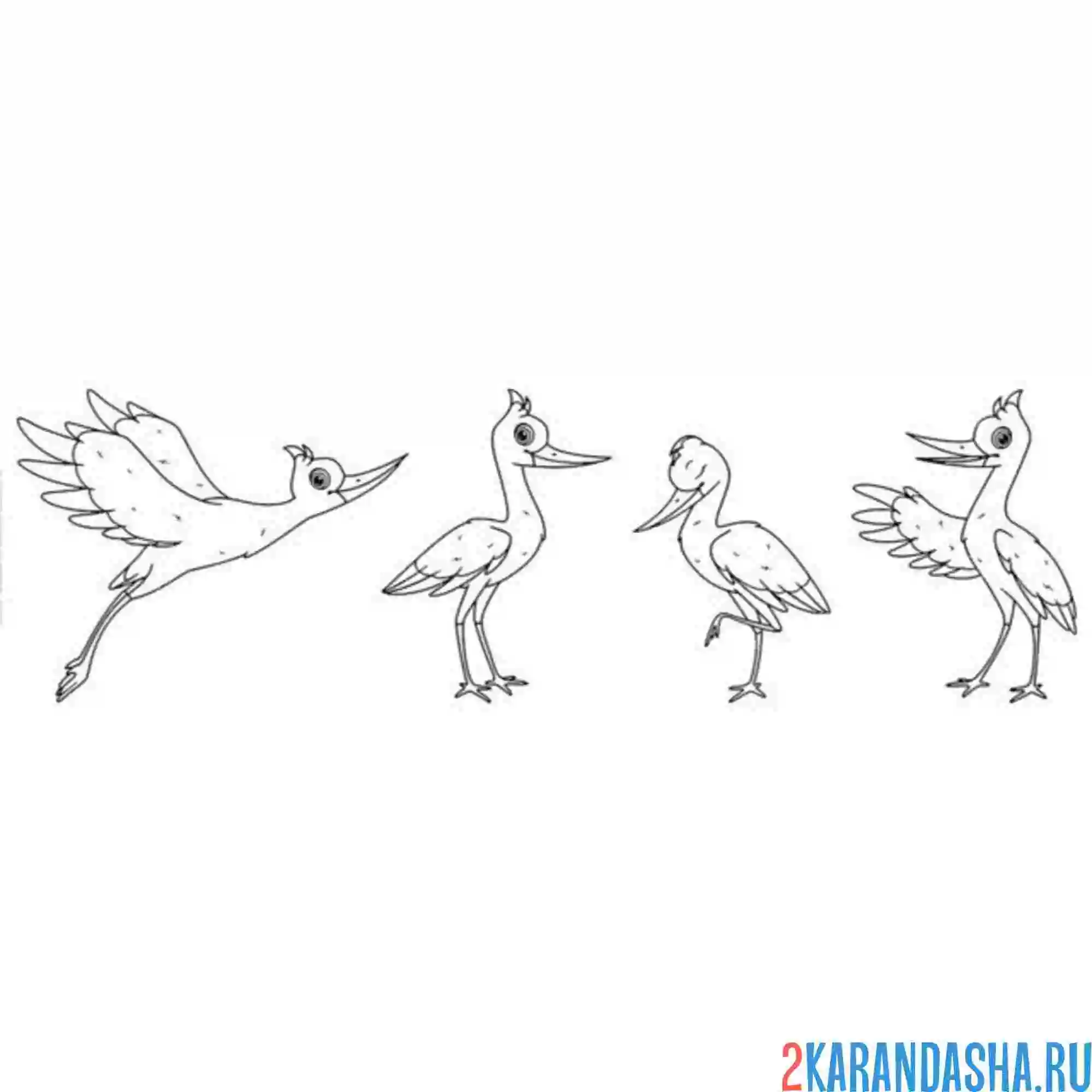 Раскраска перелетная птица аист