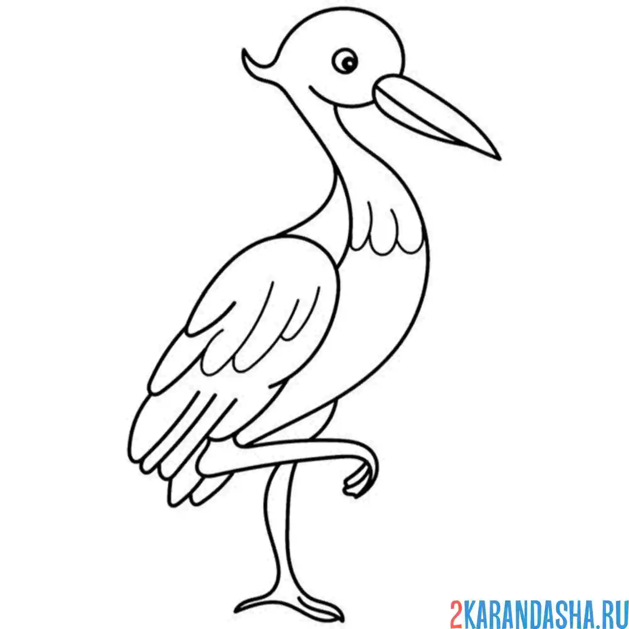 Раскраска аист на лапке