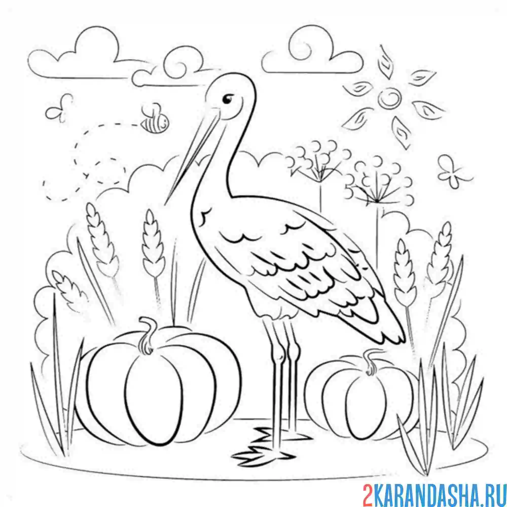Раскраска аист хорошенький