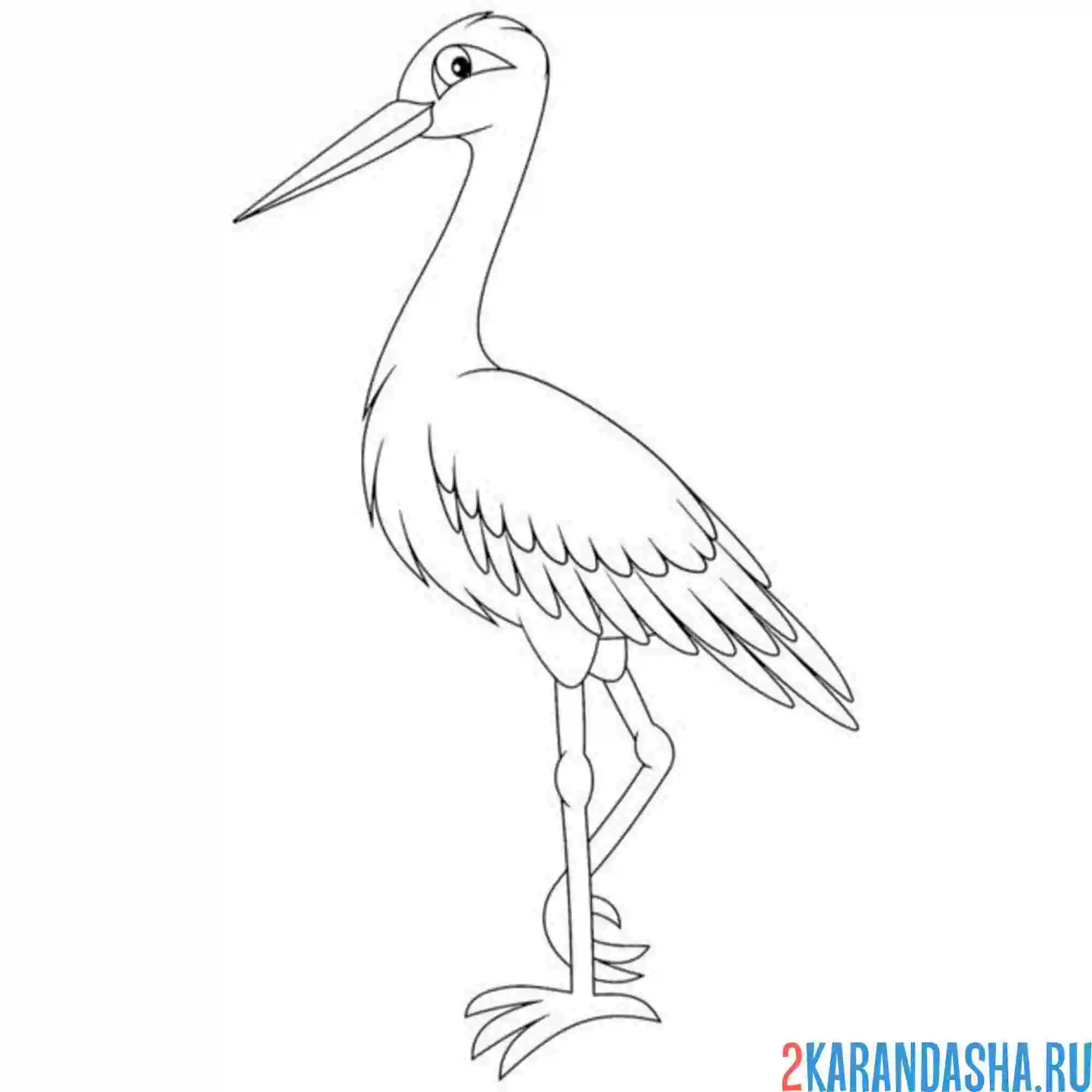 Раскраска птица белый аист