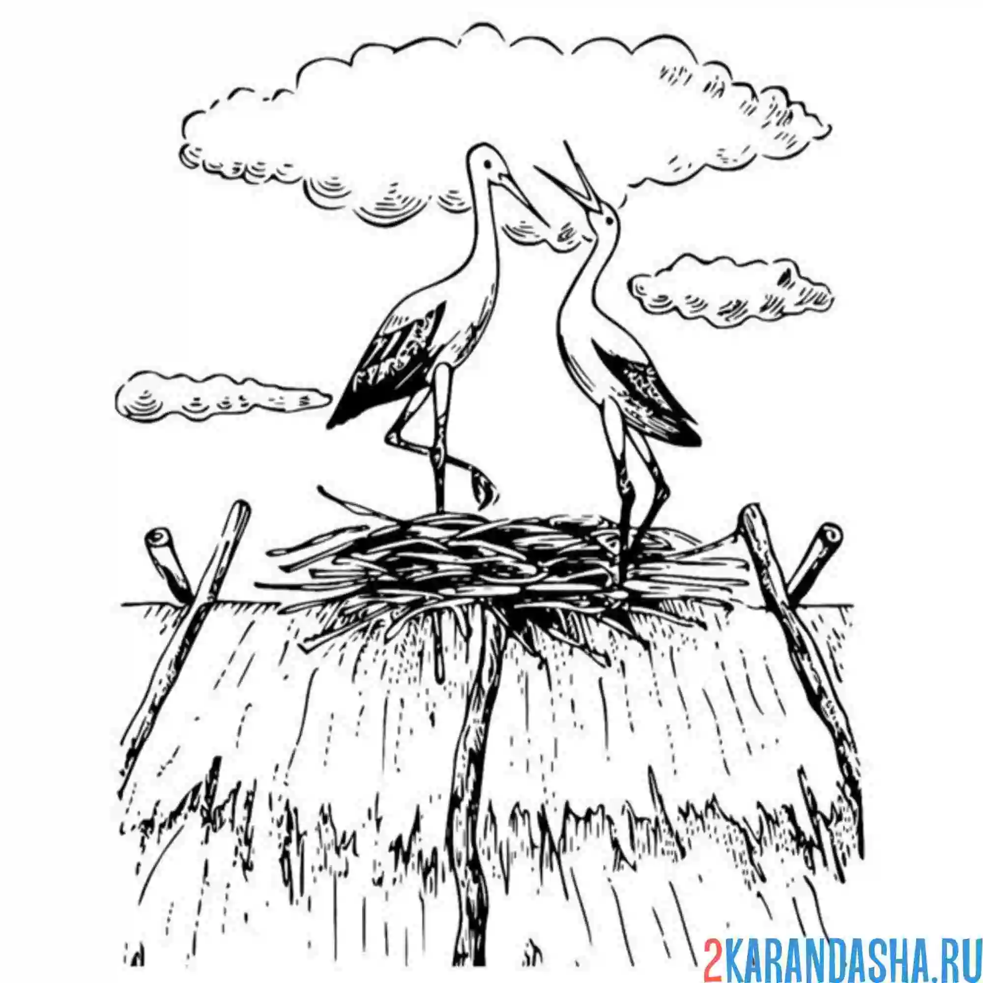 Раскраска два аиста в гнезде
