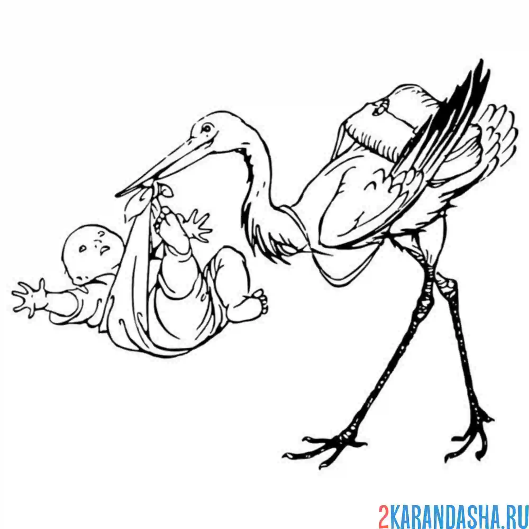 Раскраска аист и большой ребенок