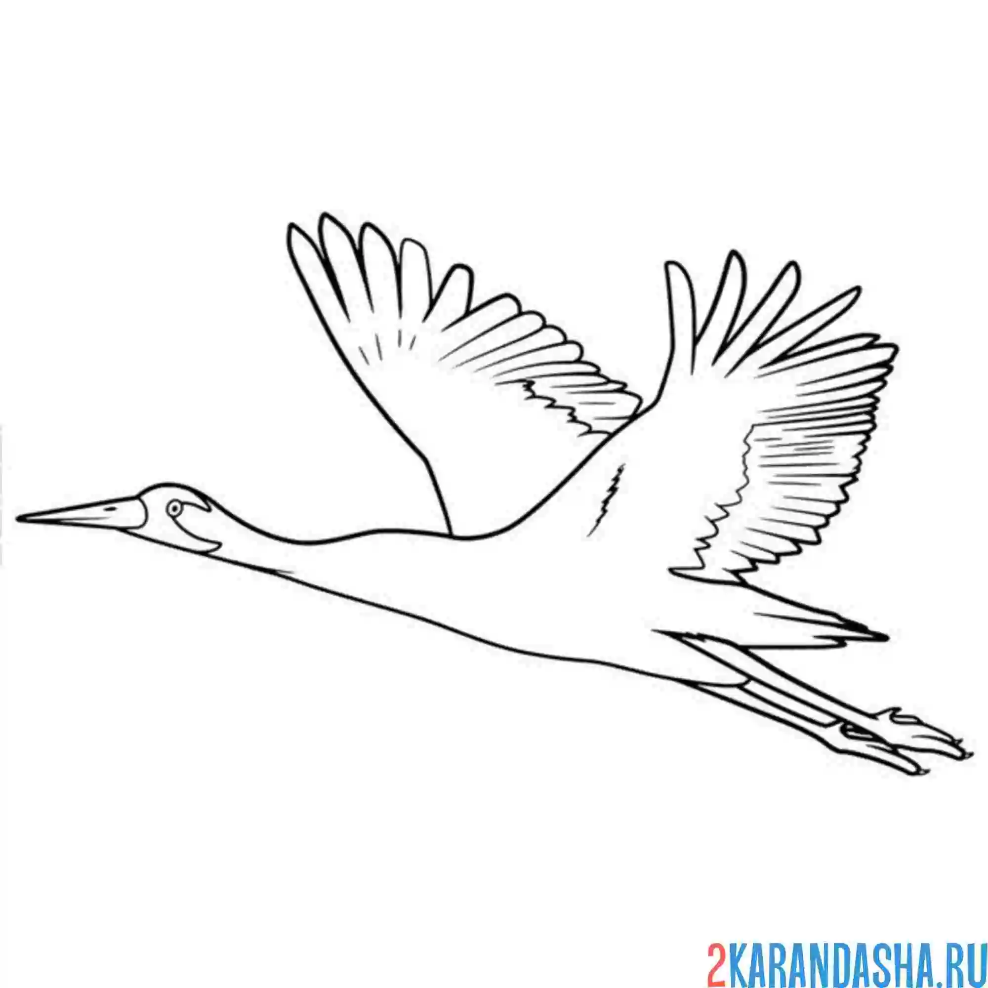 Раскраска журавль летит