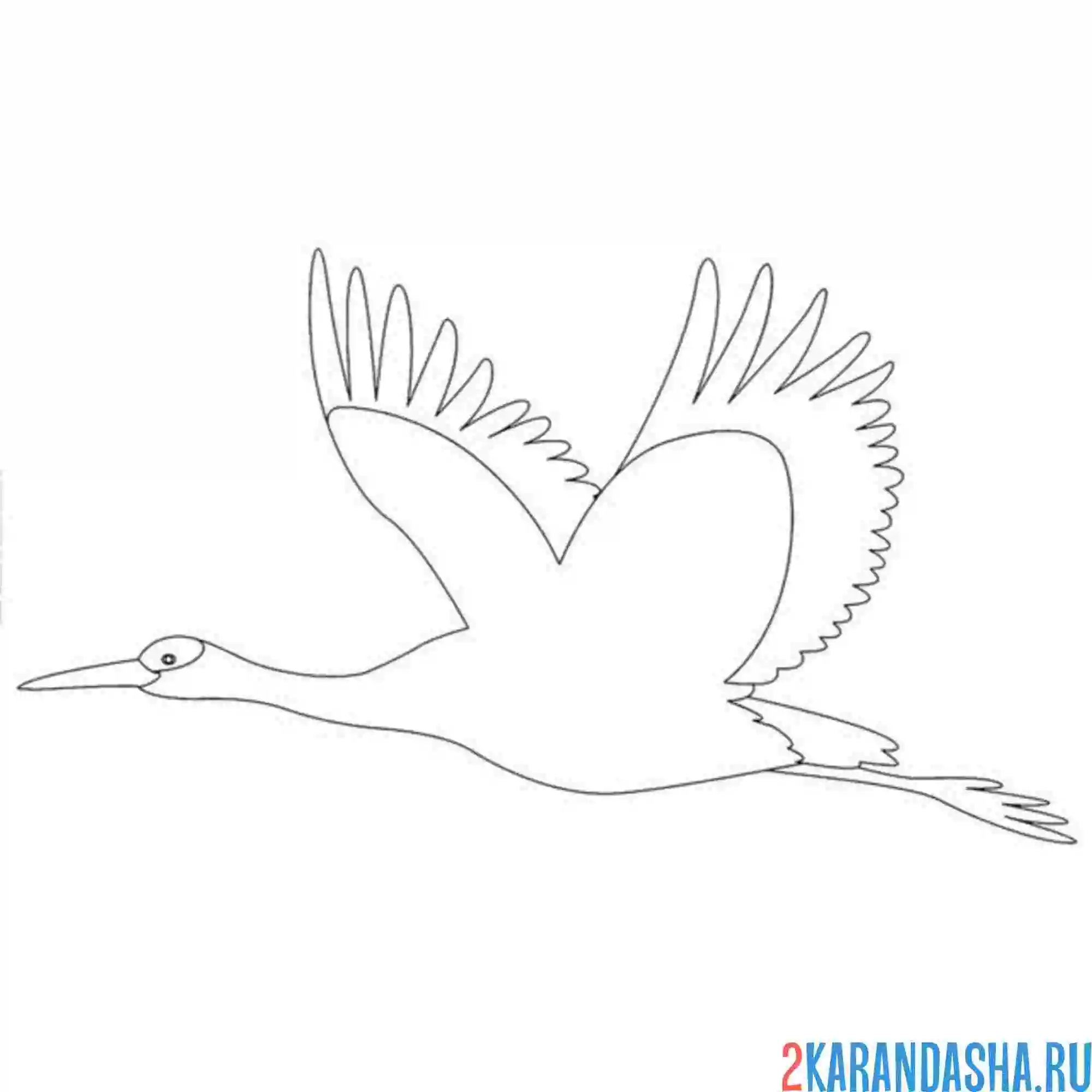 Раскраска летящий журавль