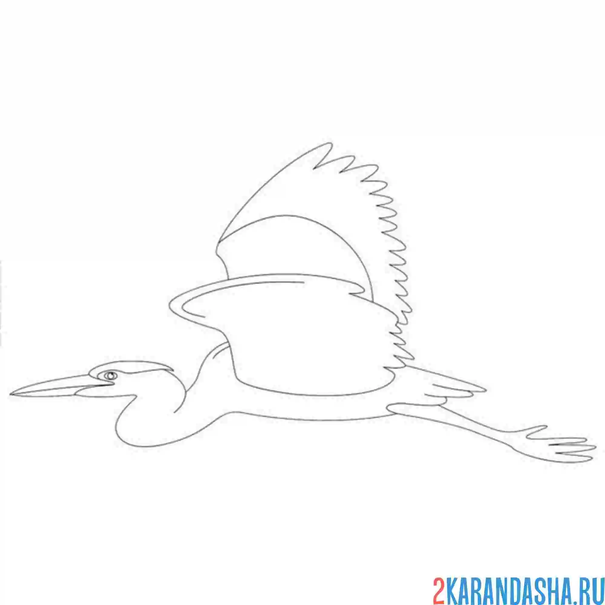 Раскраска журавль в полете
