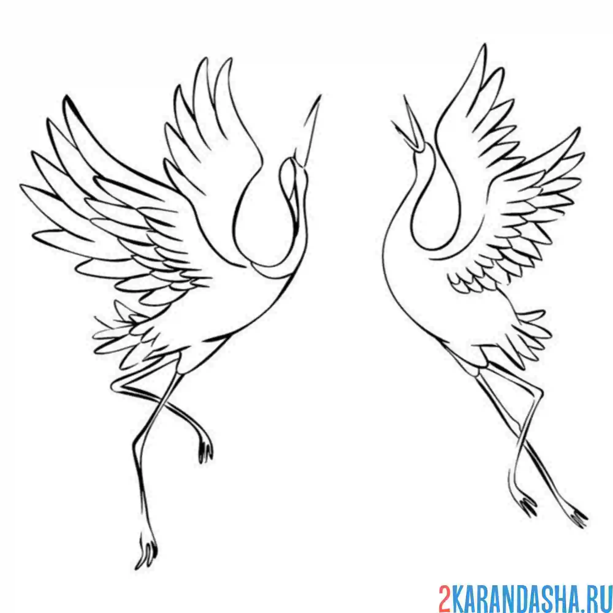 Раскраска танец журавлей
