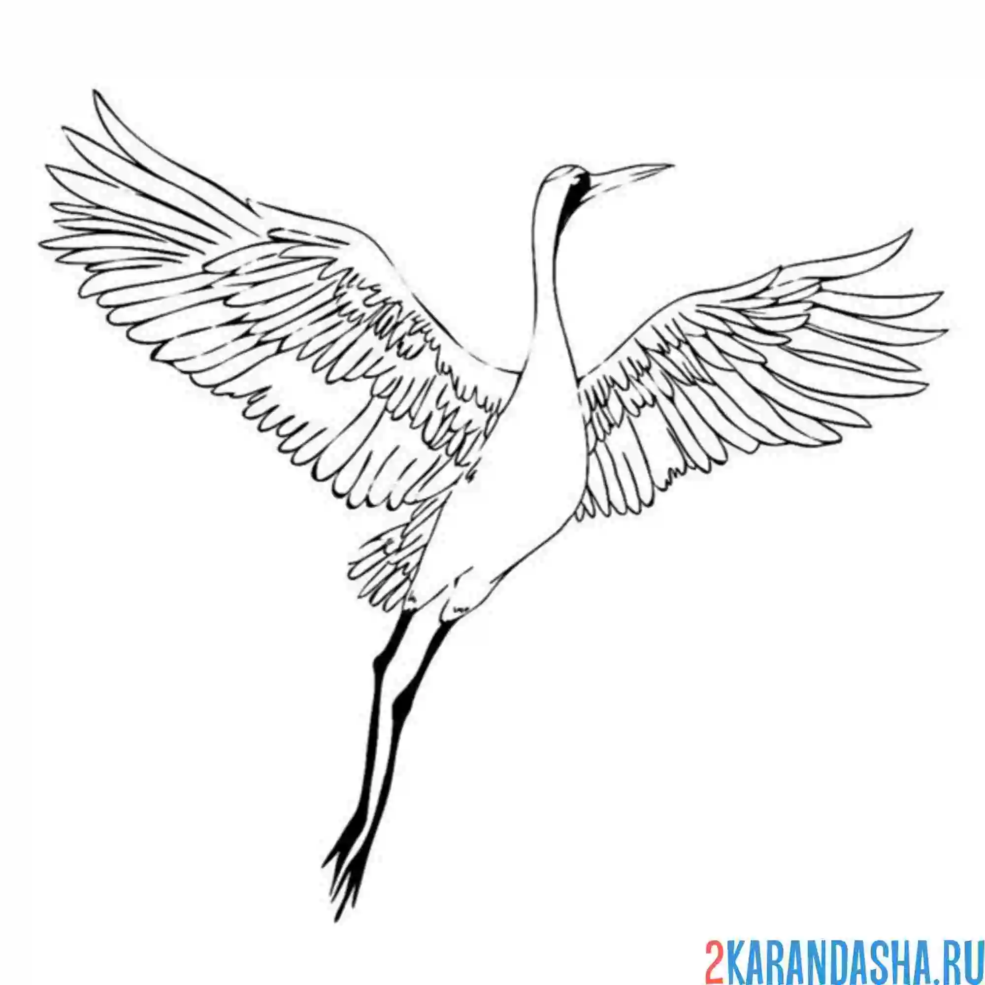 Раскраска журавль полет