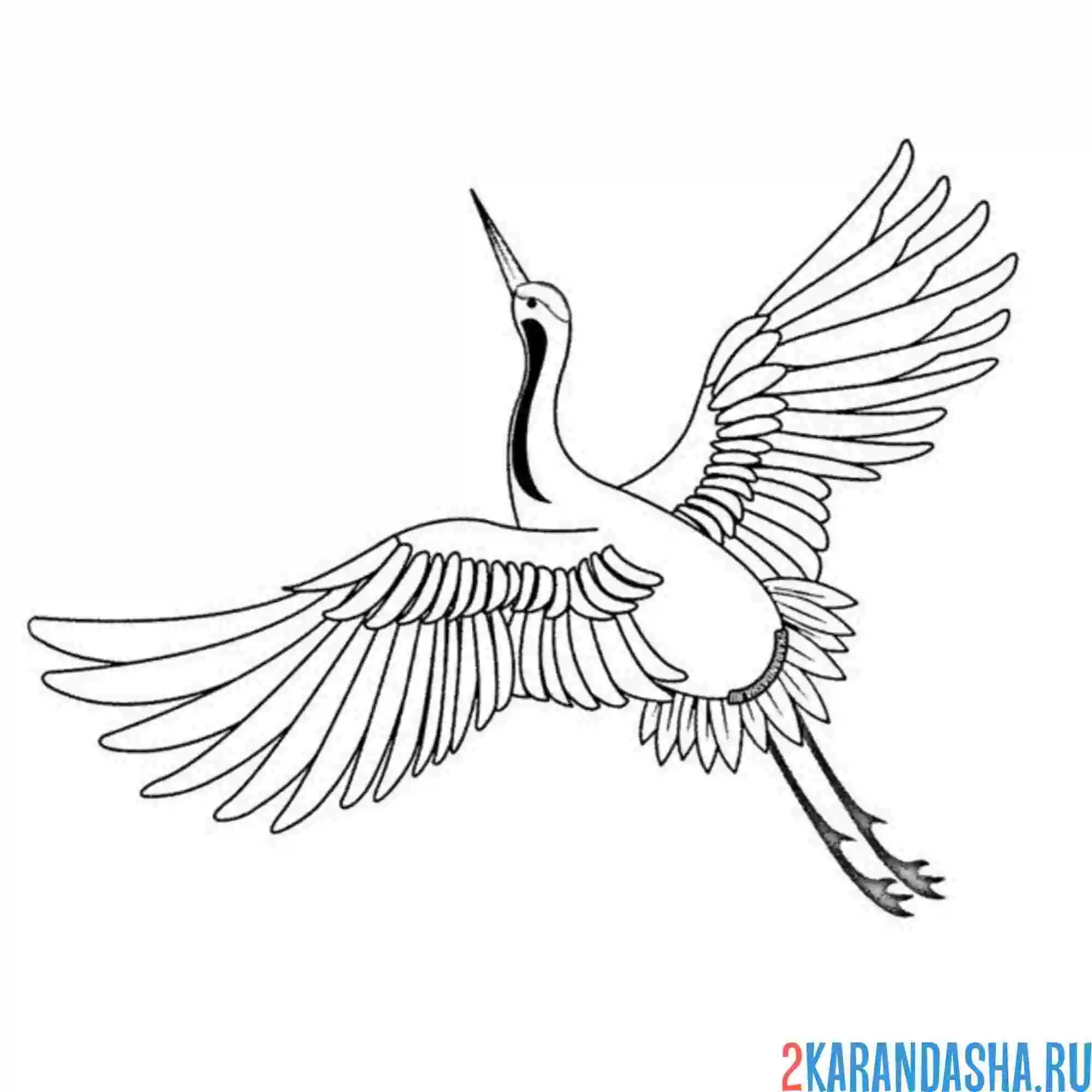 Раскраска журавль большие крылья