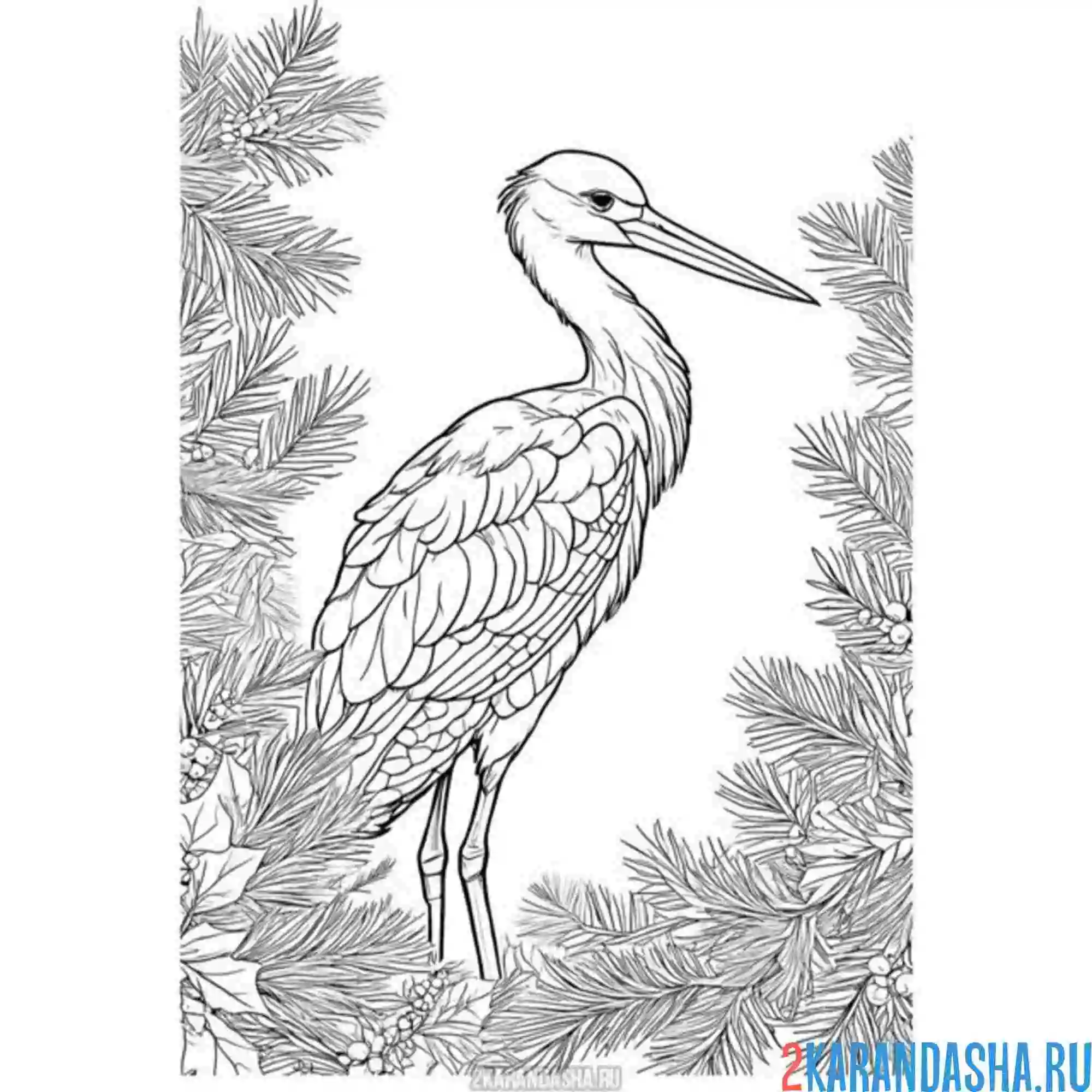 Раскраска журавль в елках