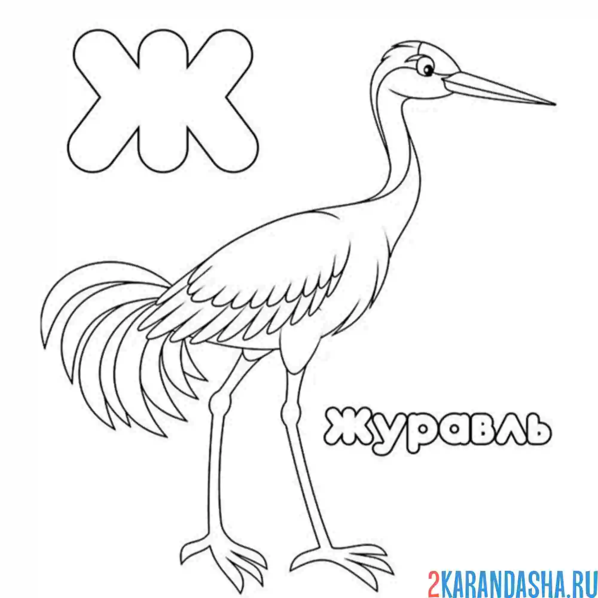 Раскраска буква ж журавль