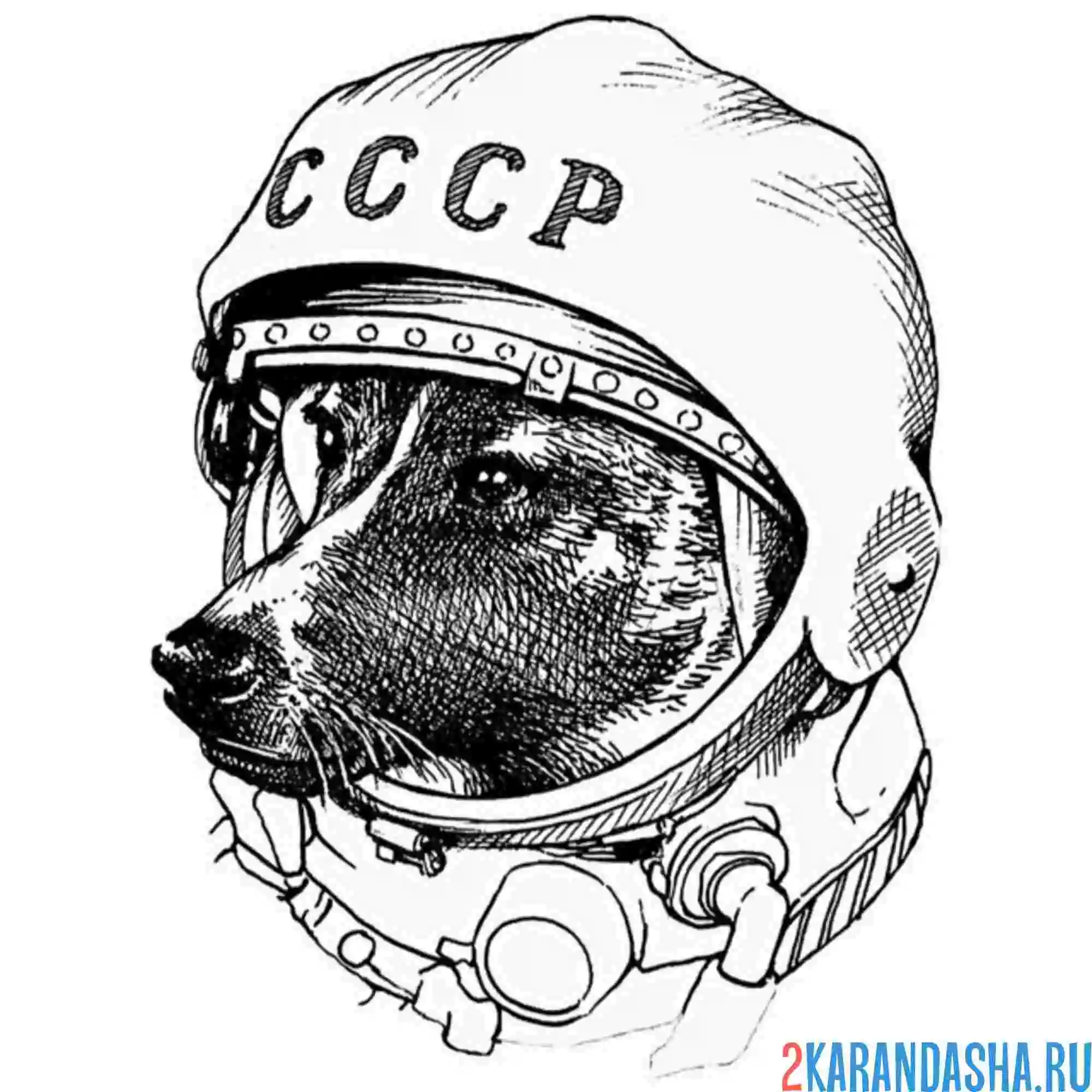 Раскраска белка стрелка первые собаки в космосе
