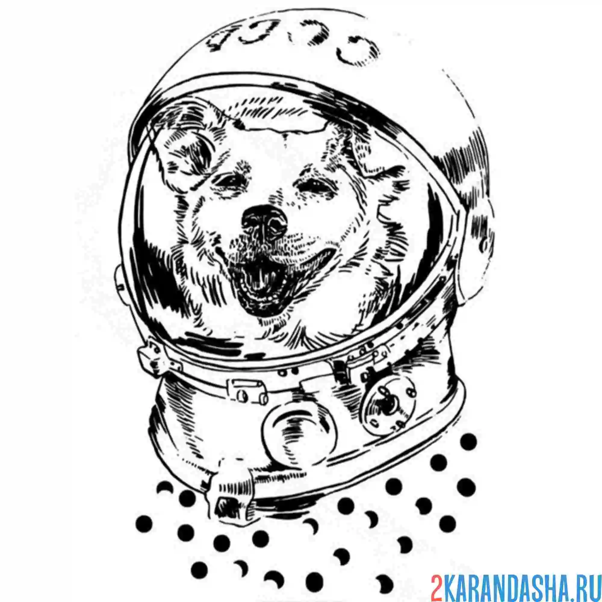 Раскраска белка собака космос