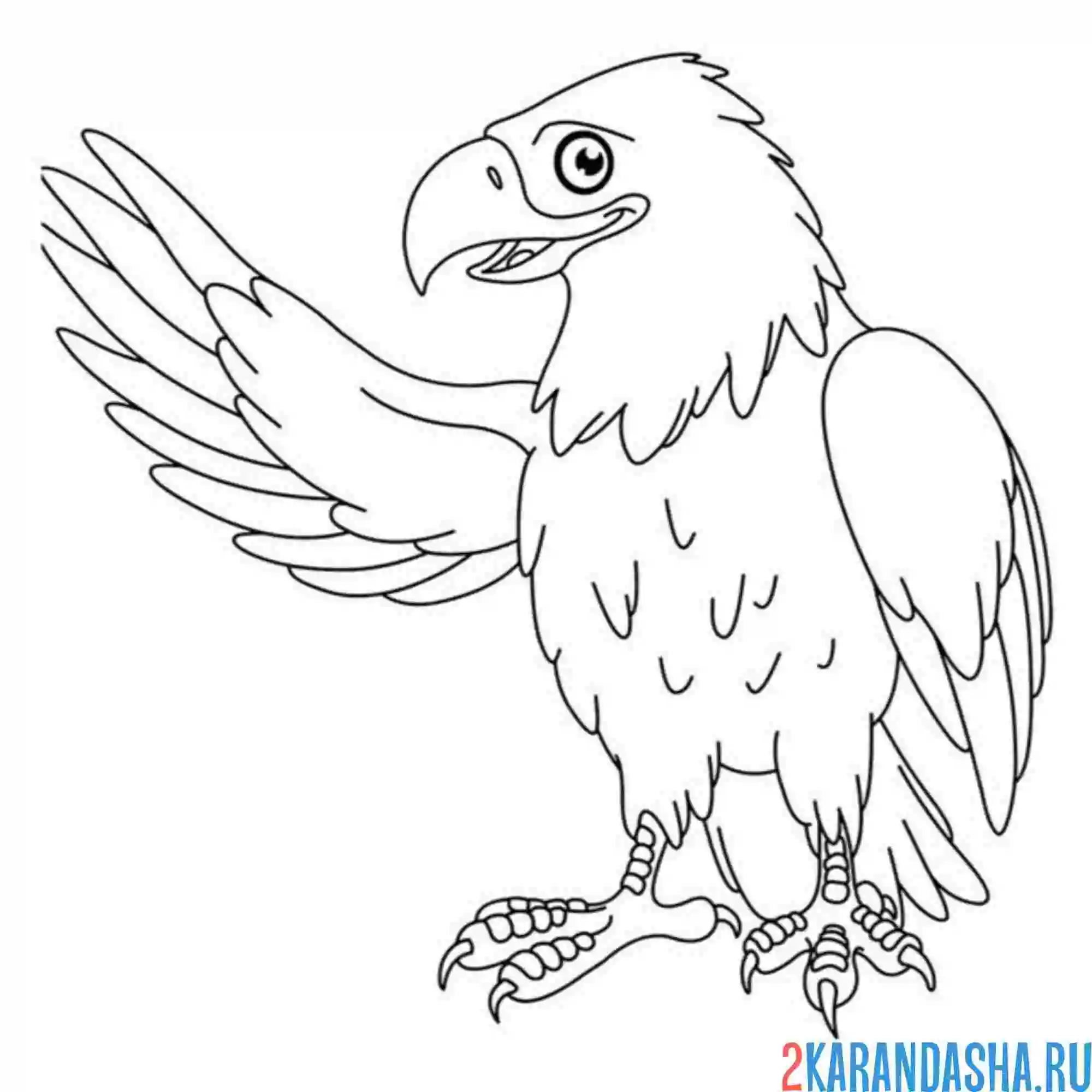 Раскраска орел и крыло
