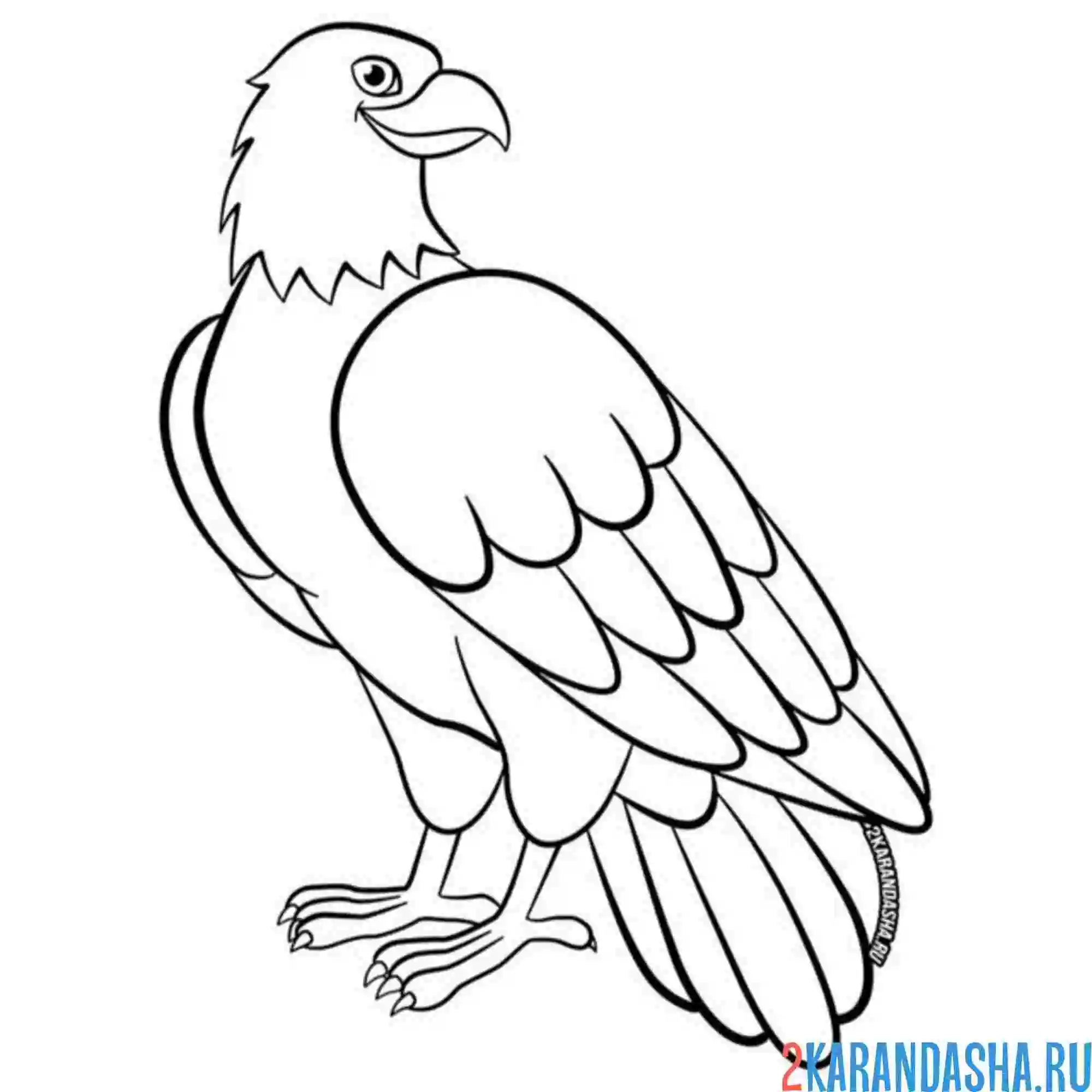 Раскраска статный орел