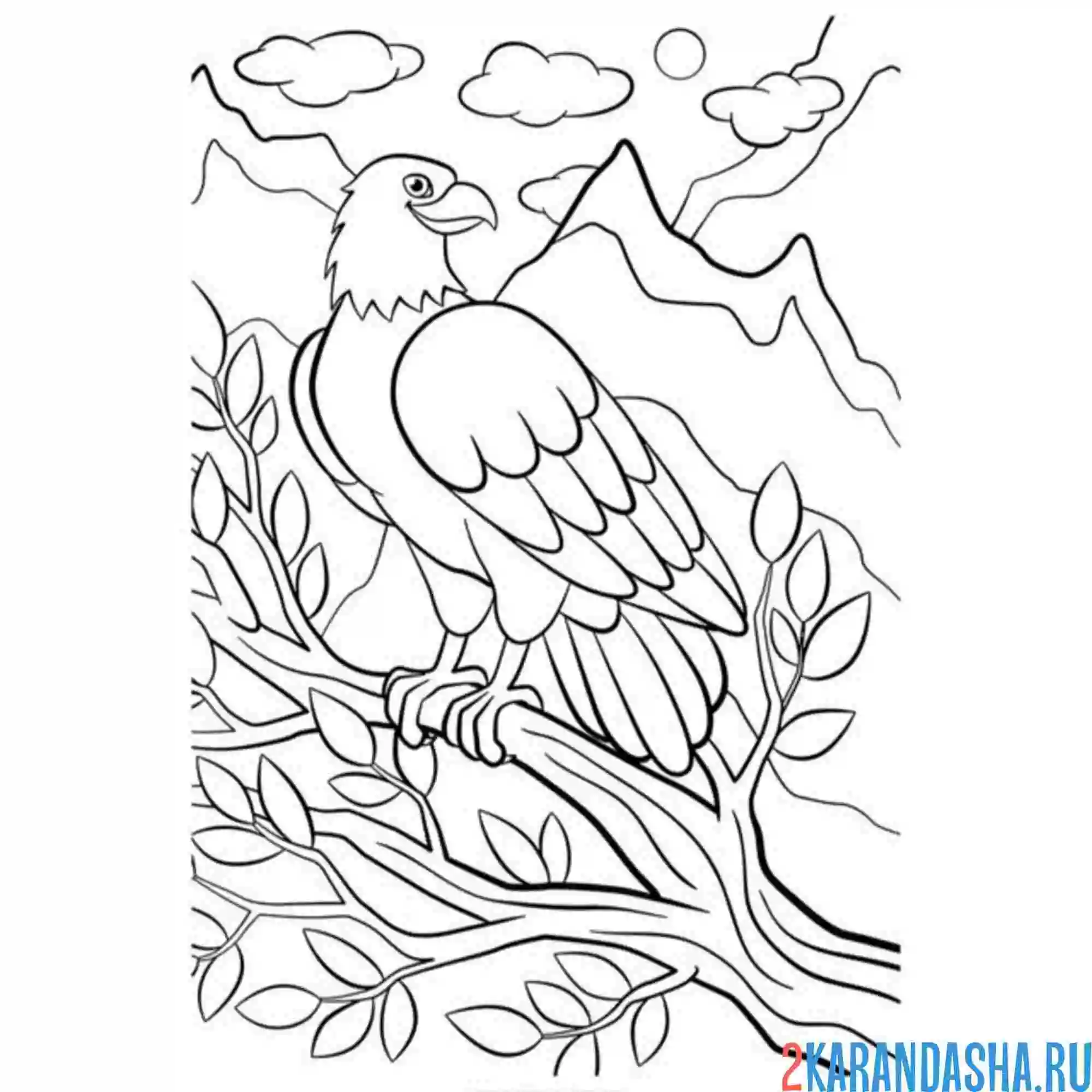 Раскраска орел на ветке дерева