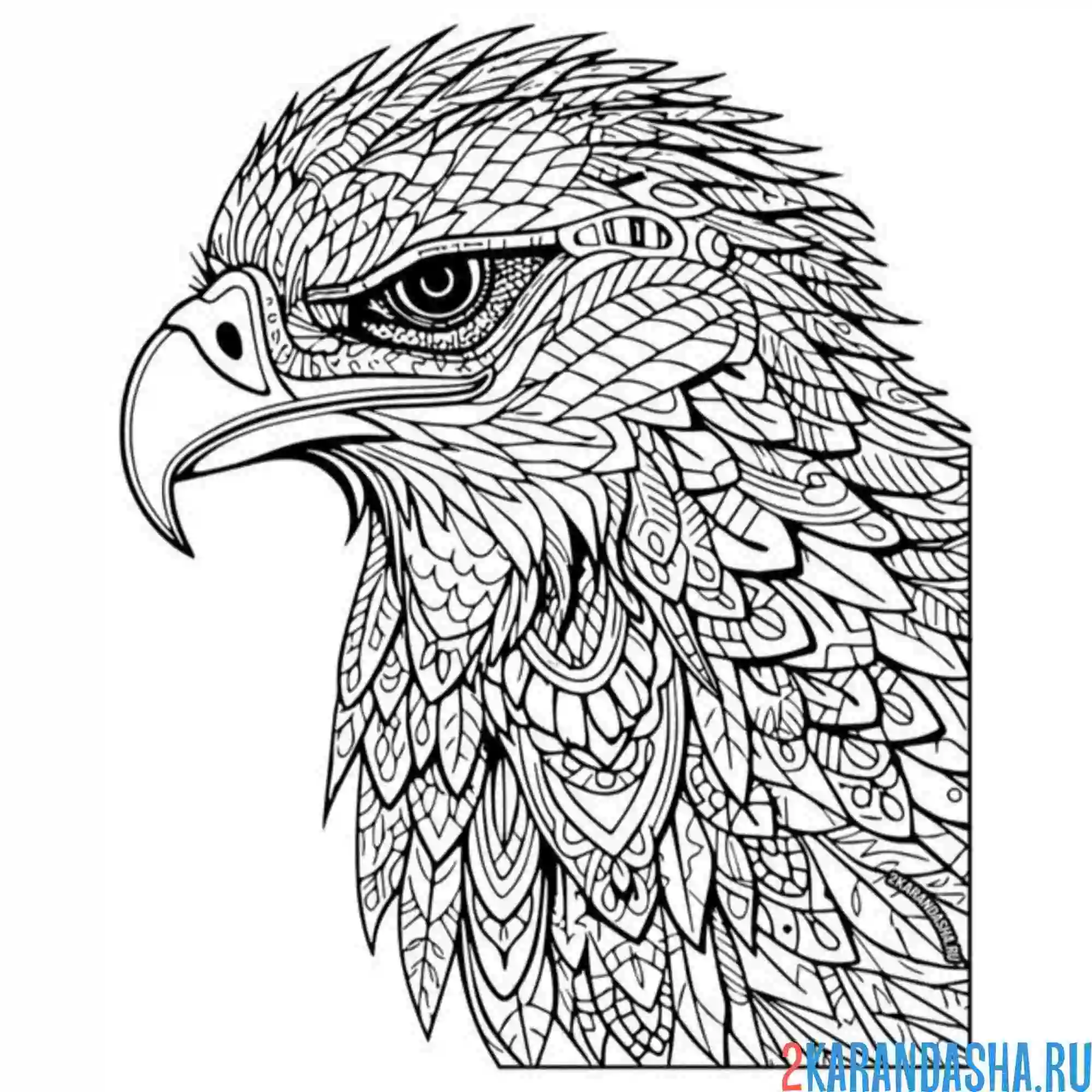 Раскраска голова орел антистресс