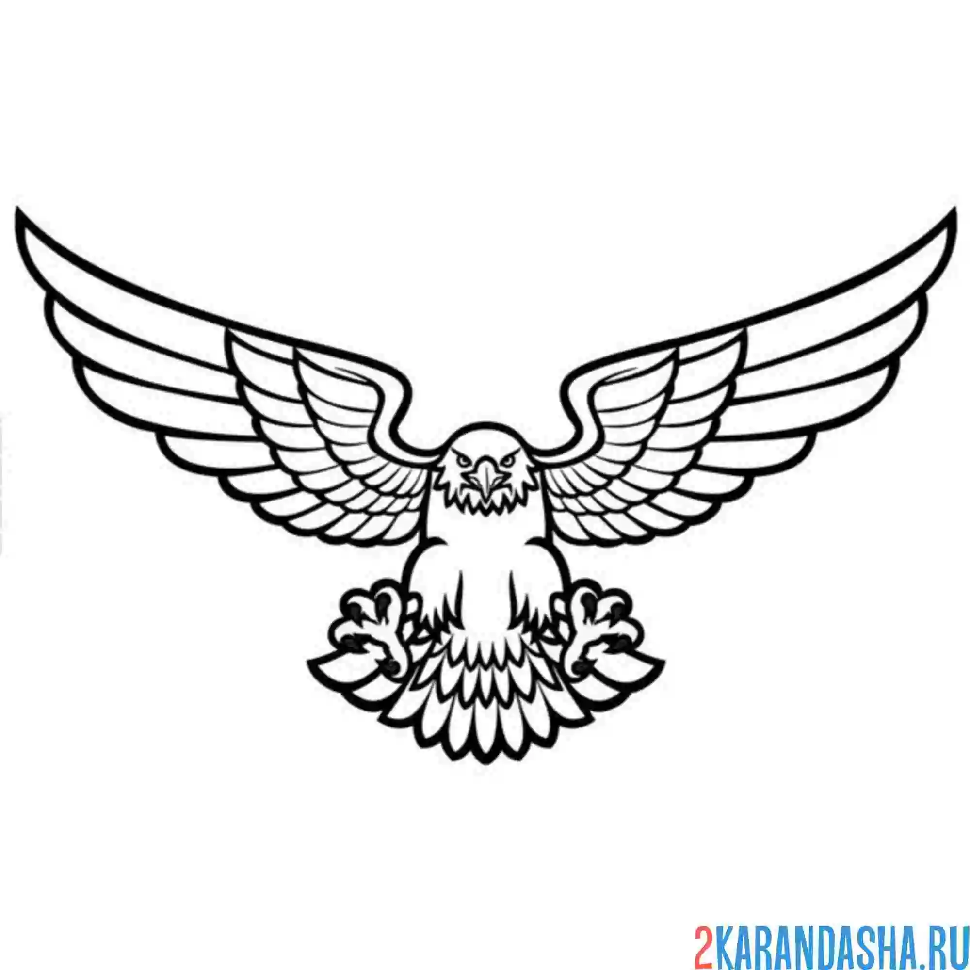 Раскраска орел в воздухе