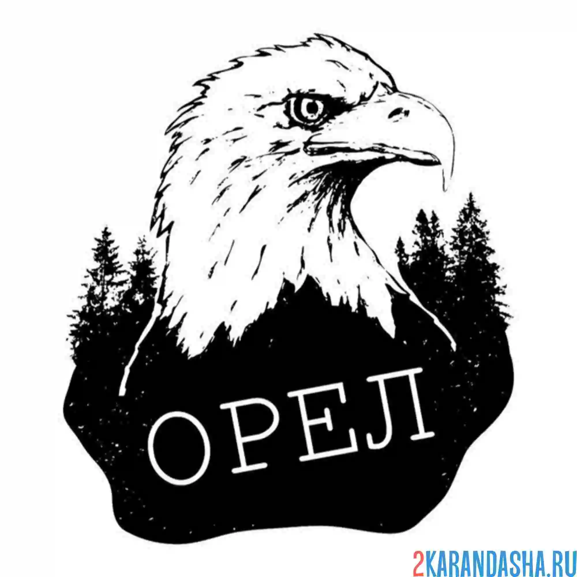 Раскраска орел и елки