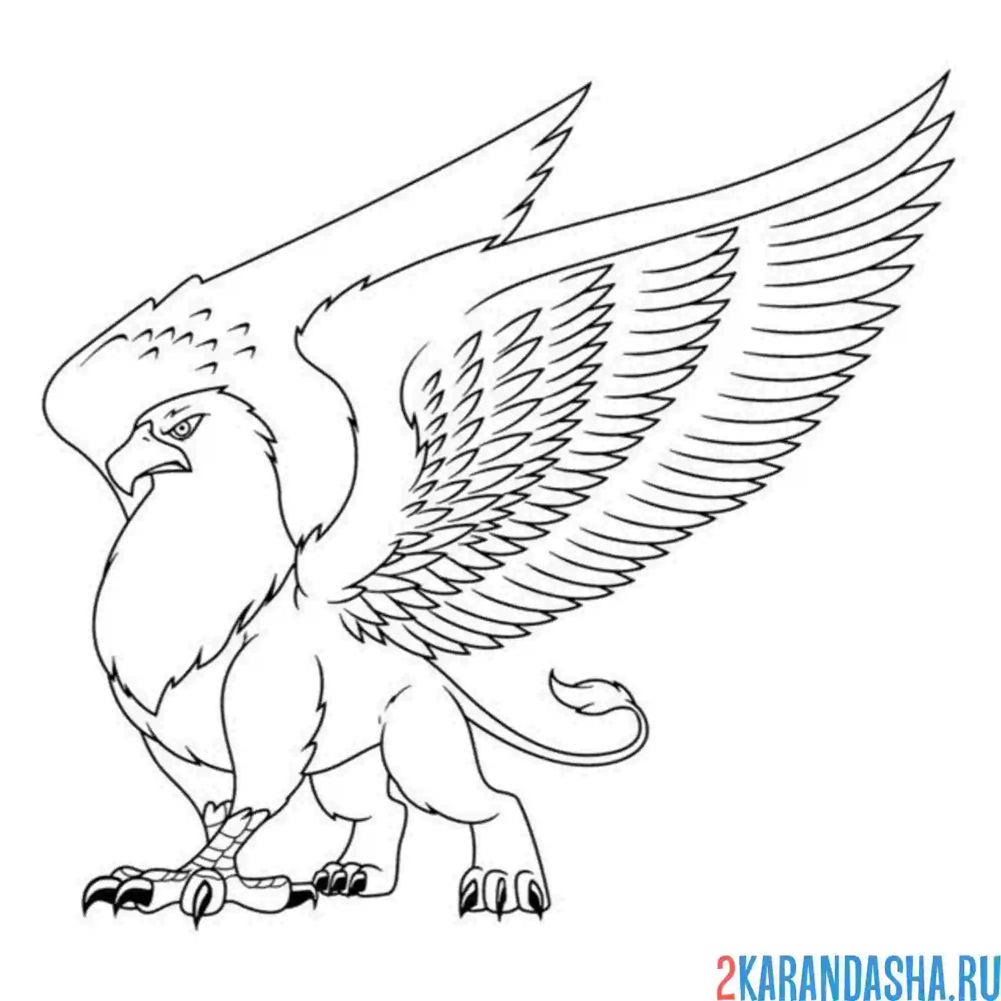 Раскраска грифон