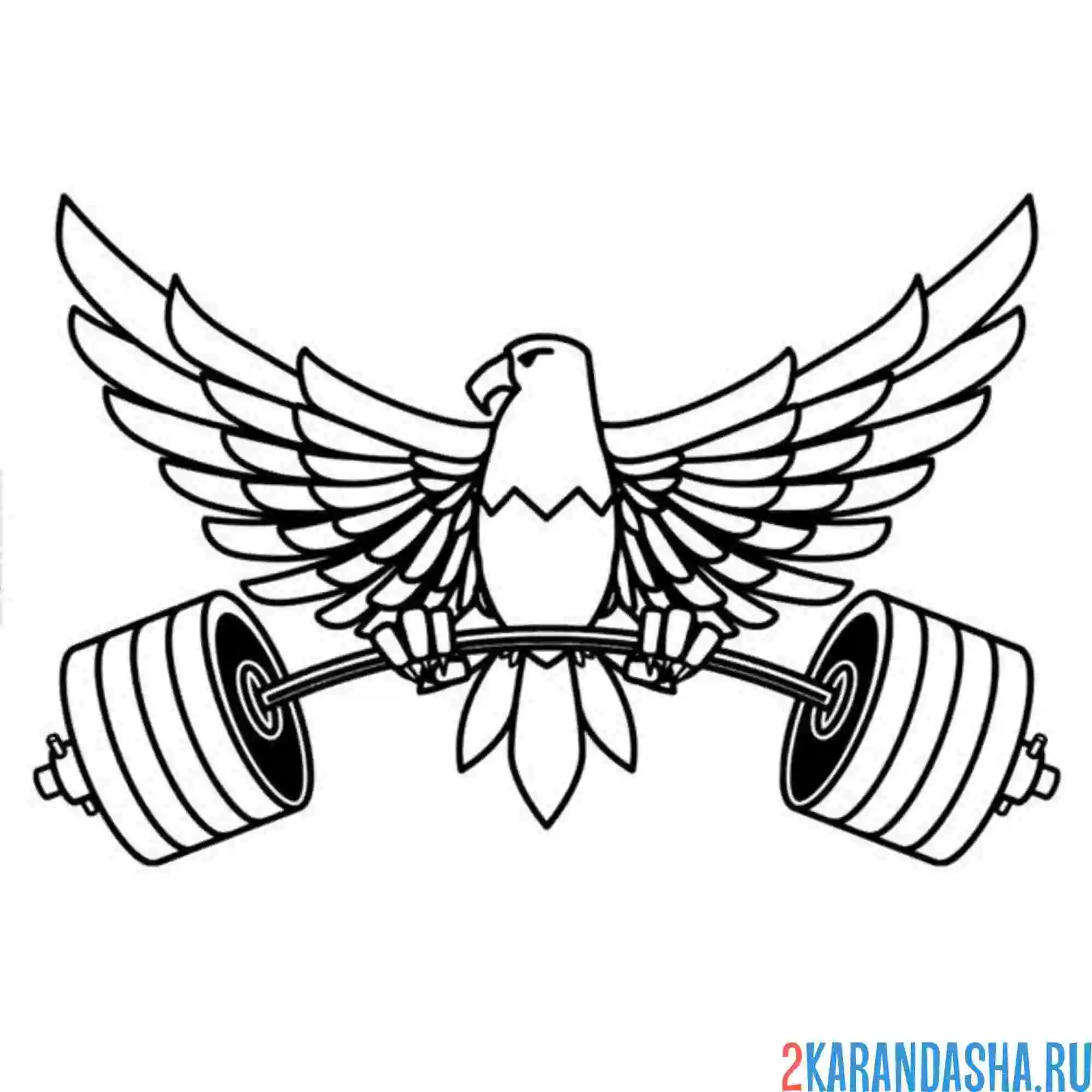 Раскраска орел и штанга