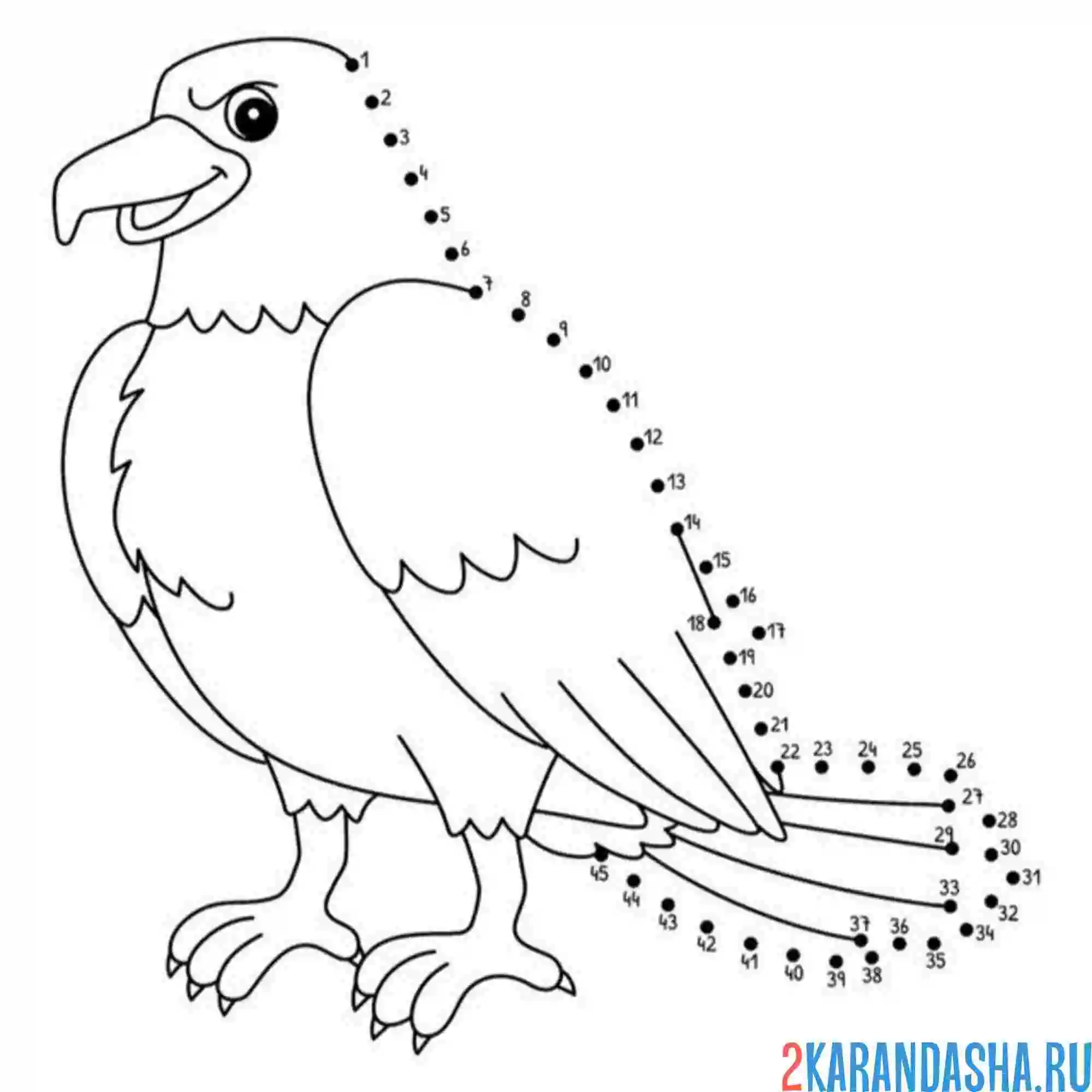 Раскраска обведи орла