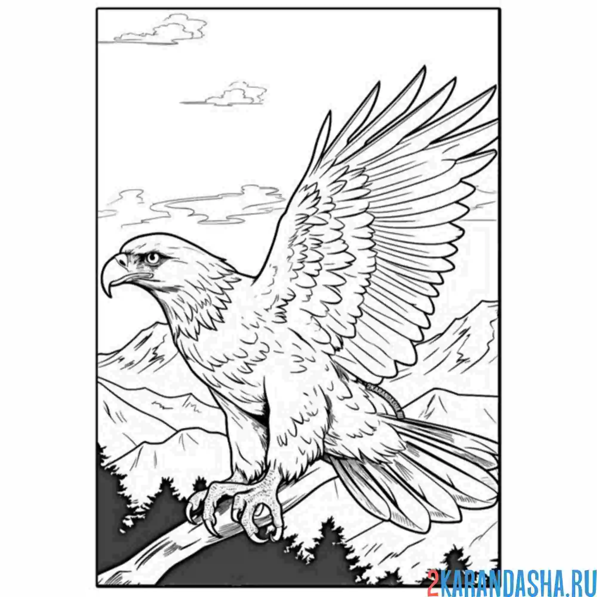 Раскраска горный орел в горах