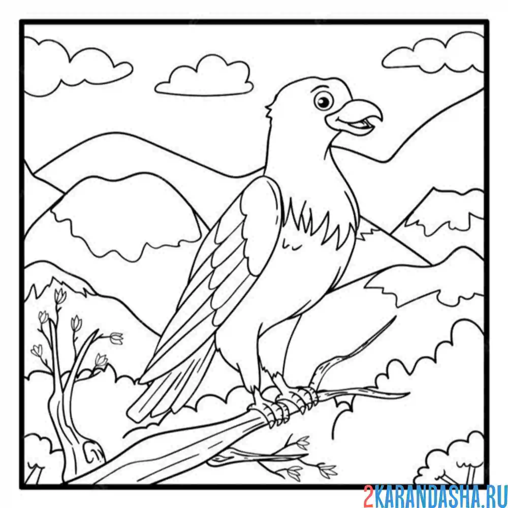 Раскраска довольный орел