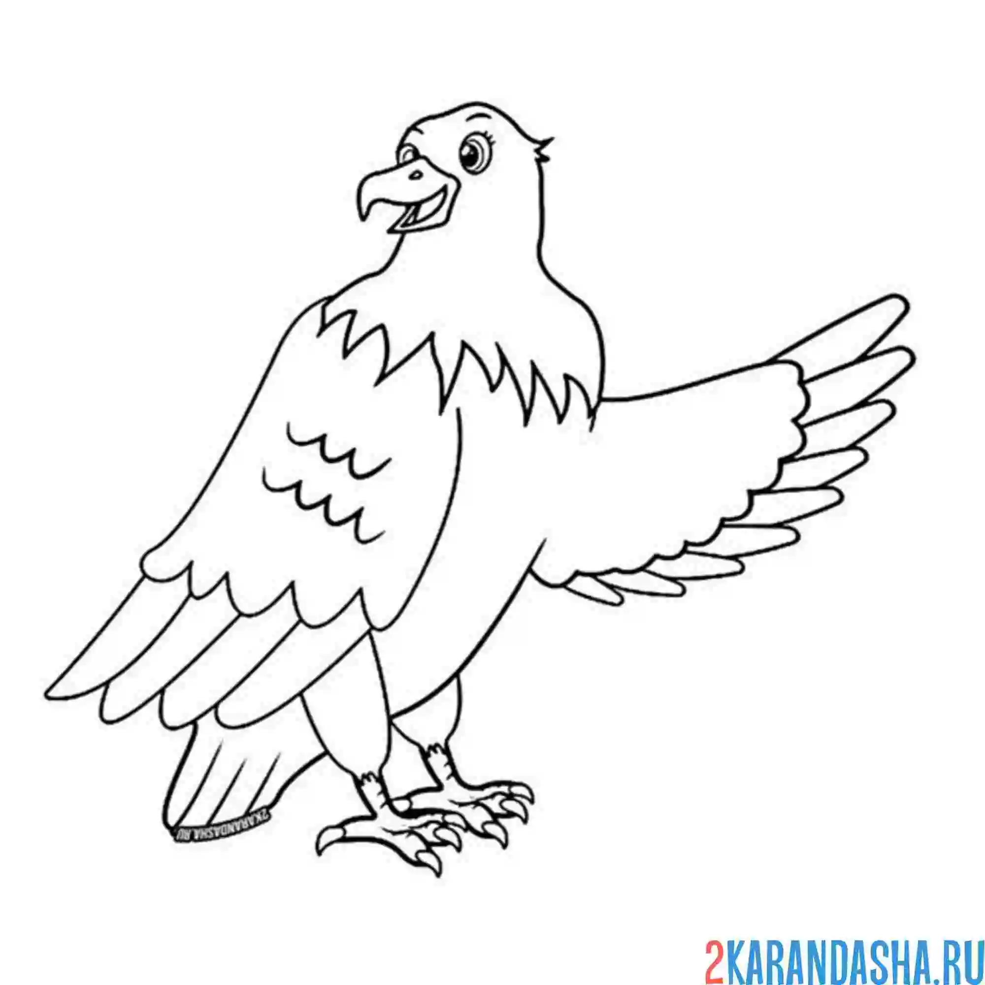 Раскраска орел здоровается