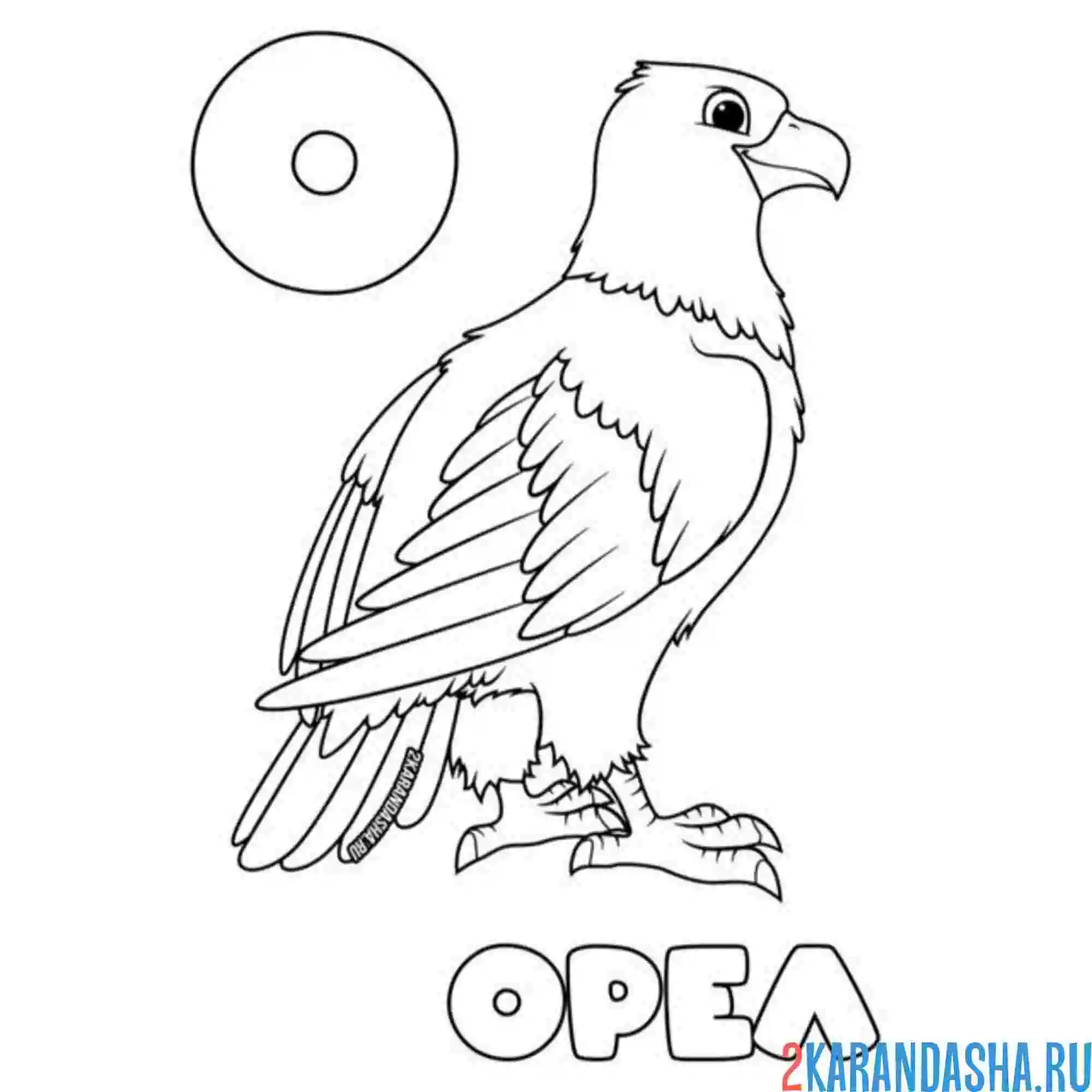 Раскраска буква о орел