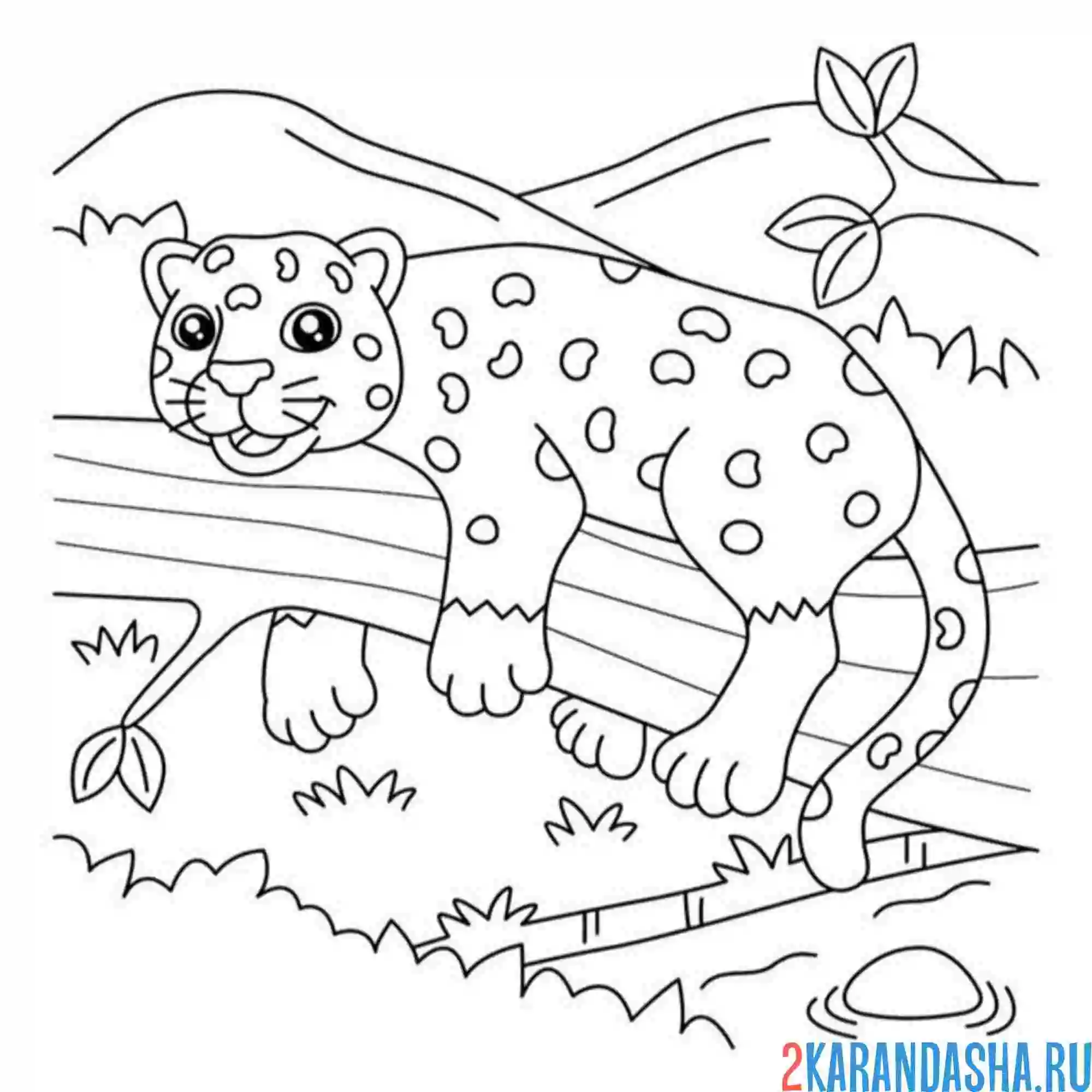 Раскраска гепард в зоопарке
