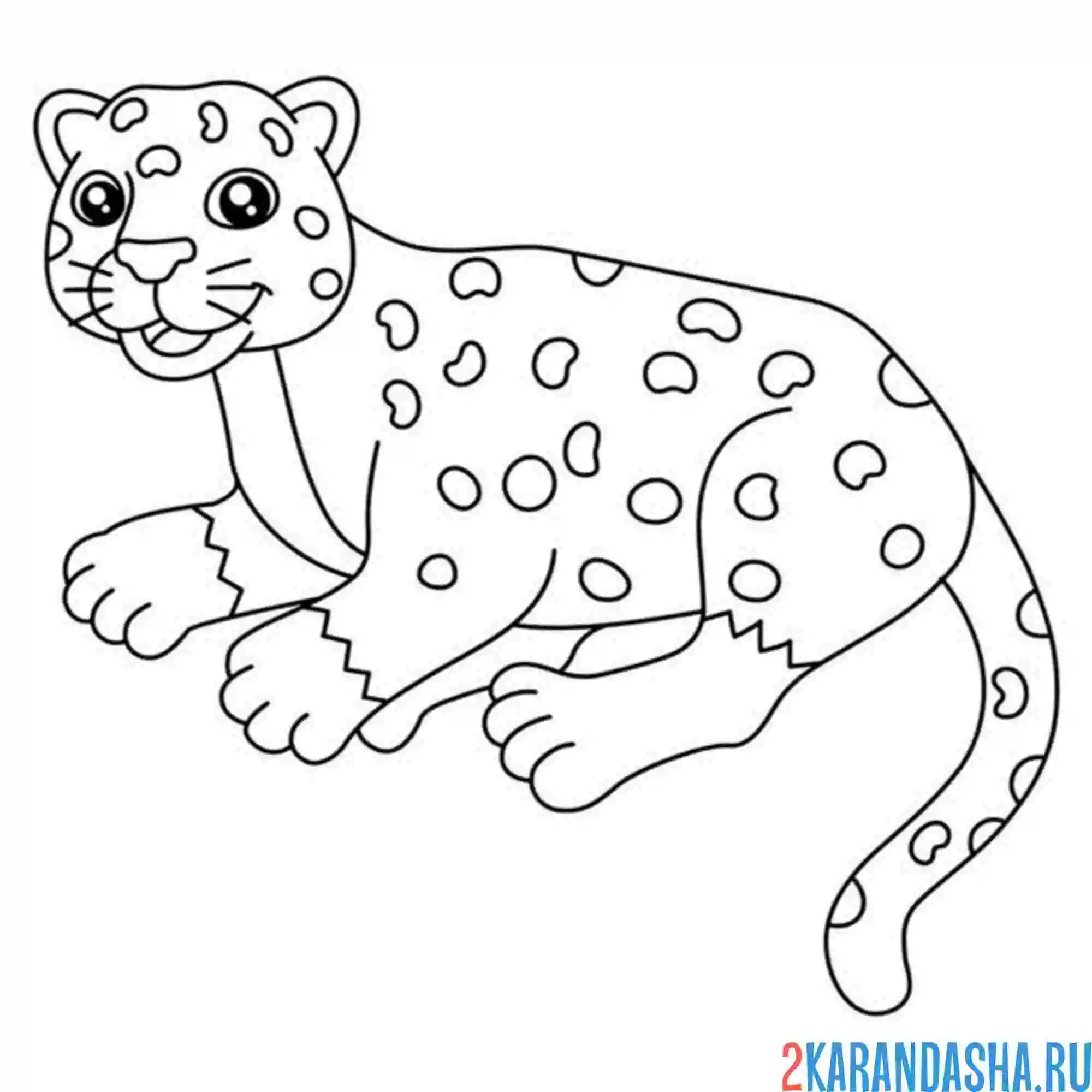 Раскраска гепард леопард