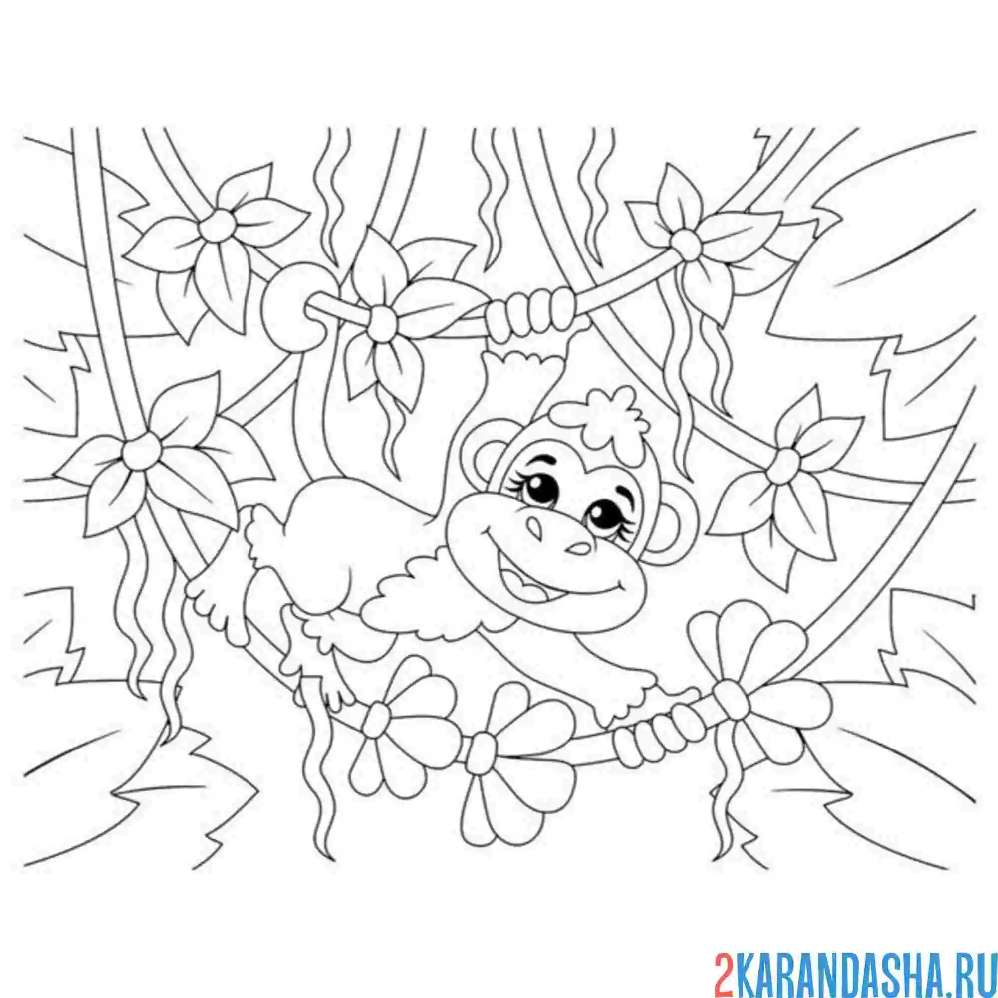 Раскраска обезьянка в зоопарке