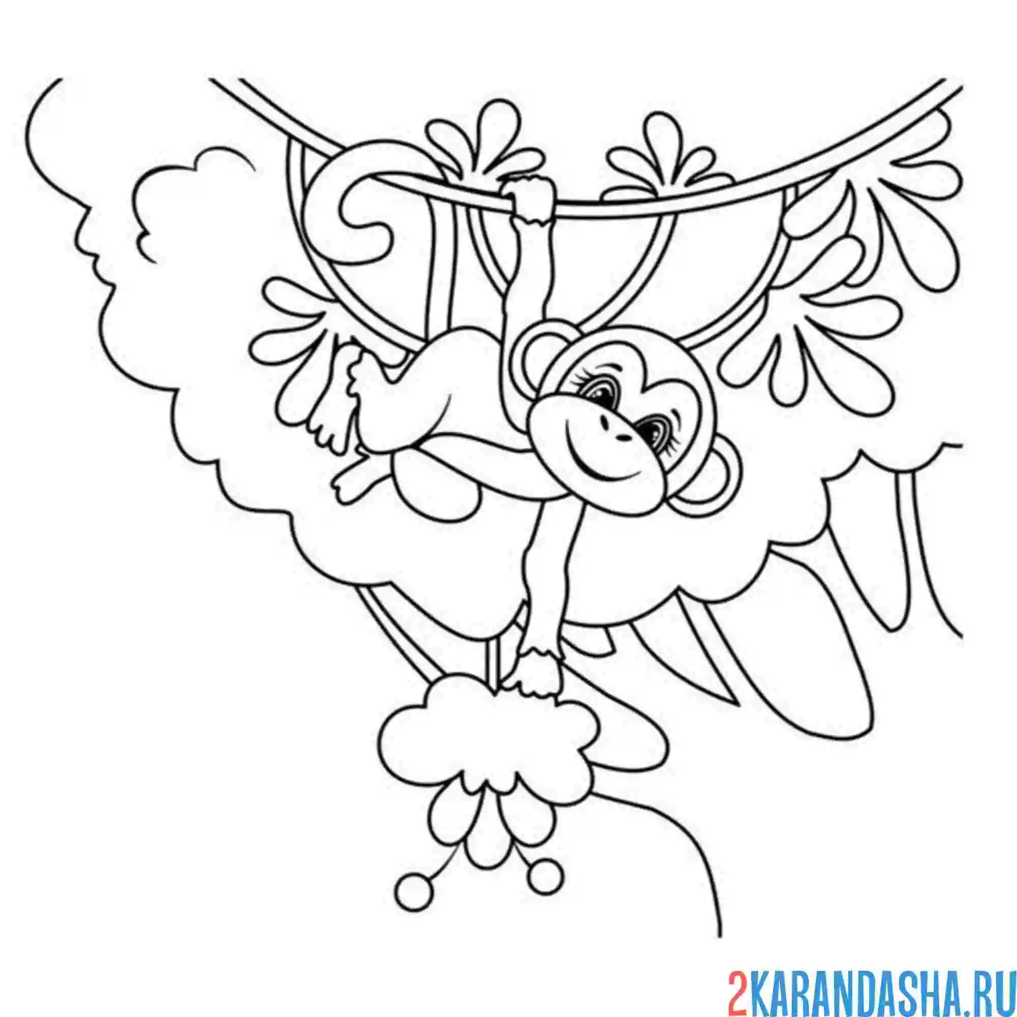 Раскраска обезьянка зоопарк