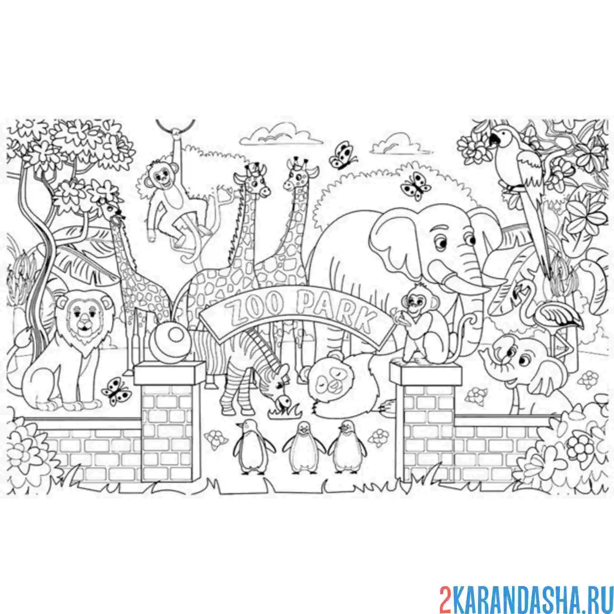 Раскраска зоопарк вход животные