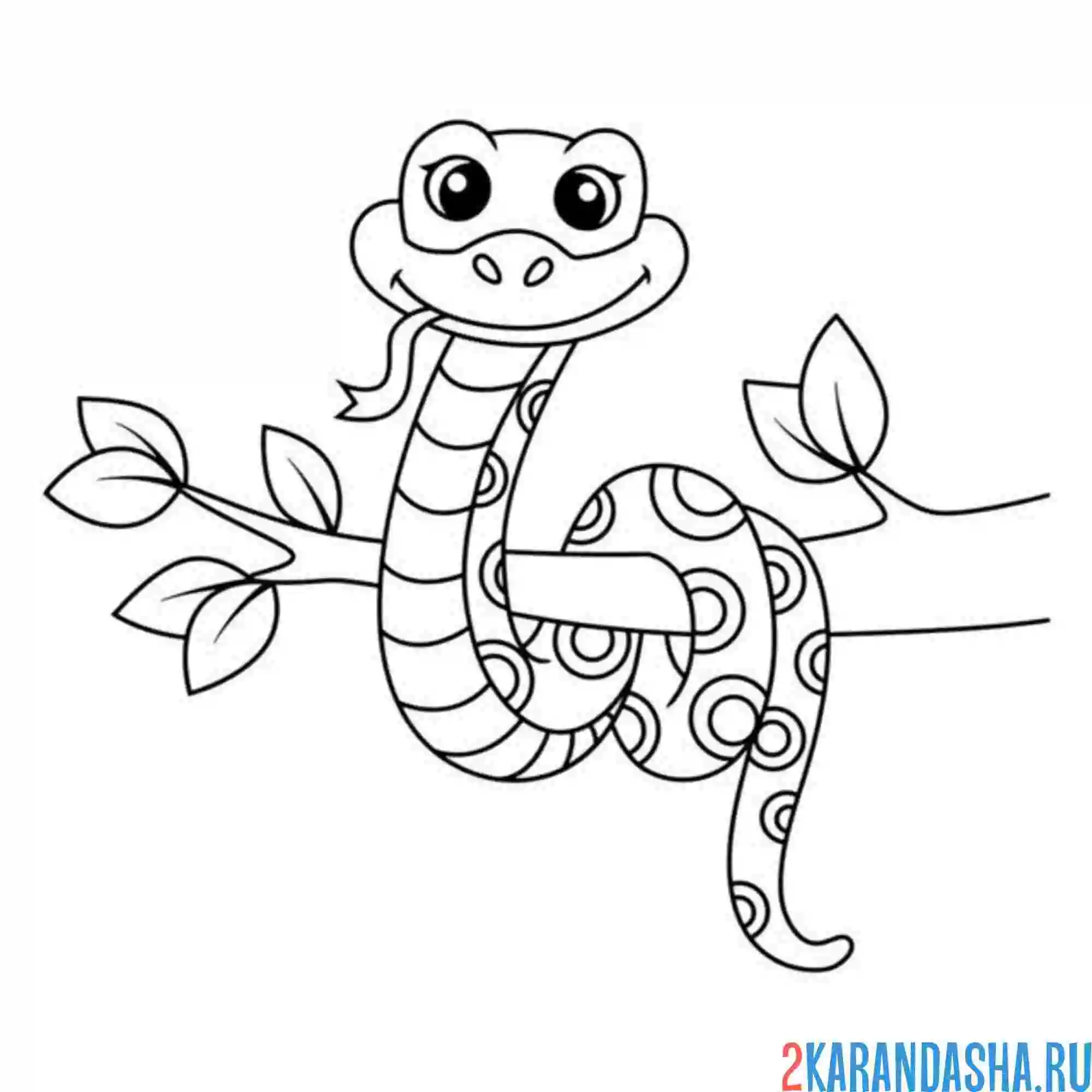 Раскраска змея в зоопарке