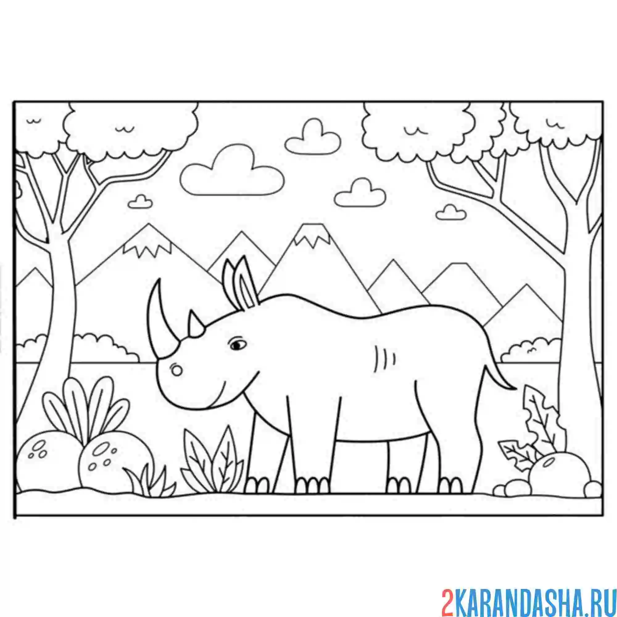 Раскраска носорог в зоопарке