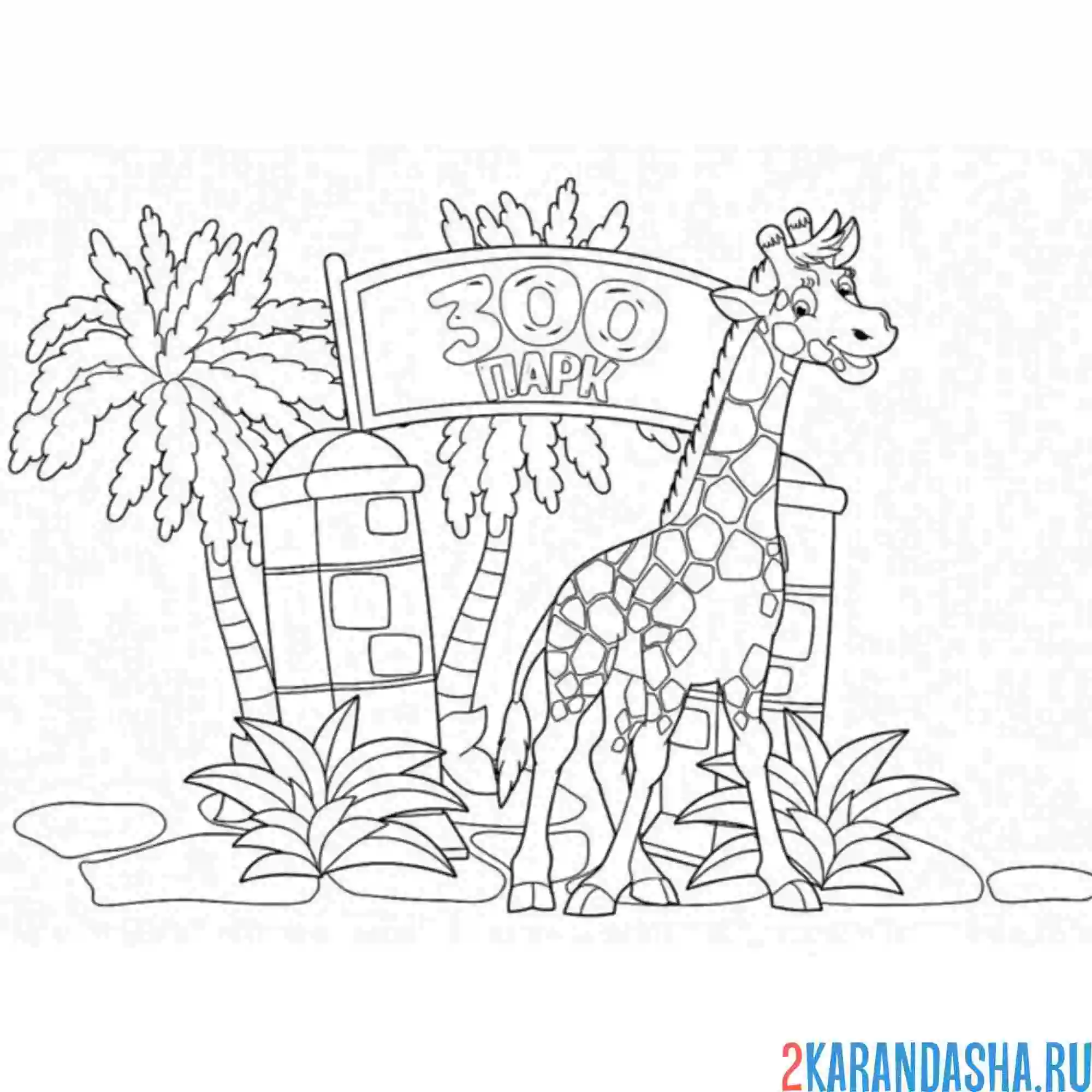 Раскраска жираф из зоопарка