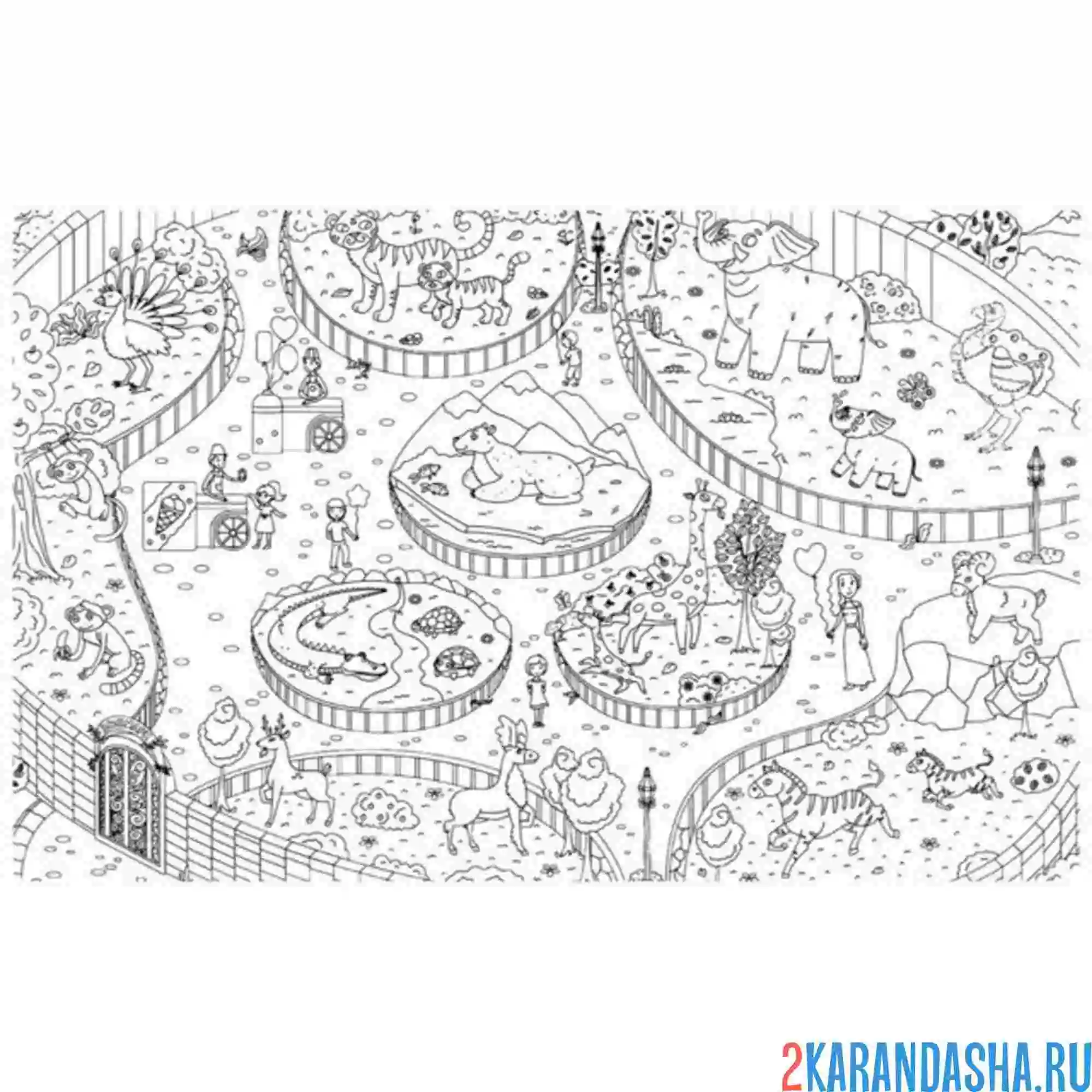 Раскраска зоопарк большой