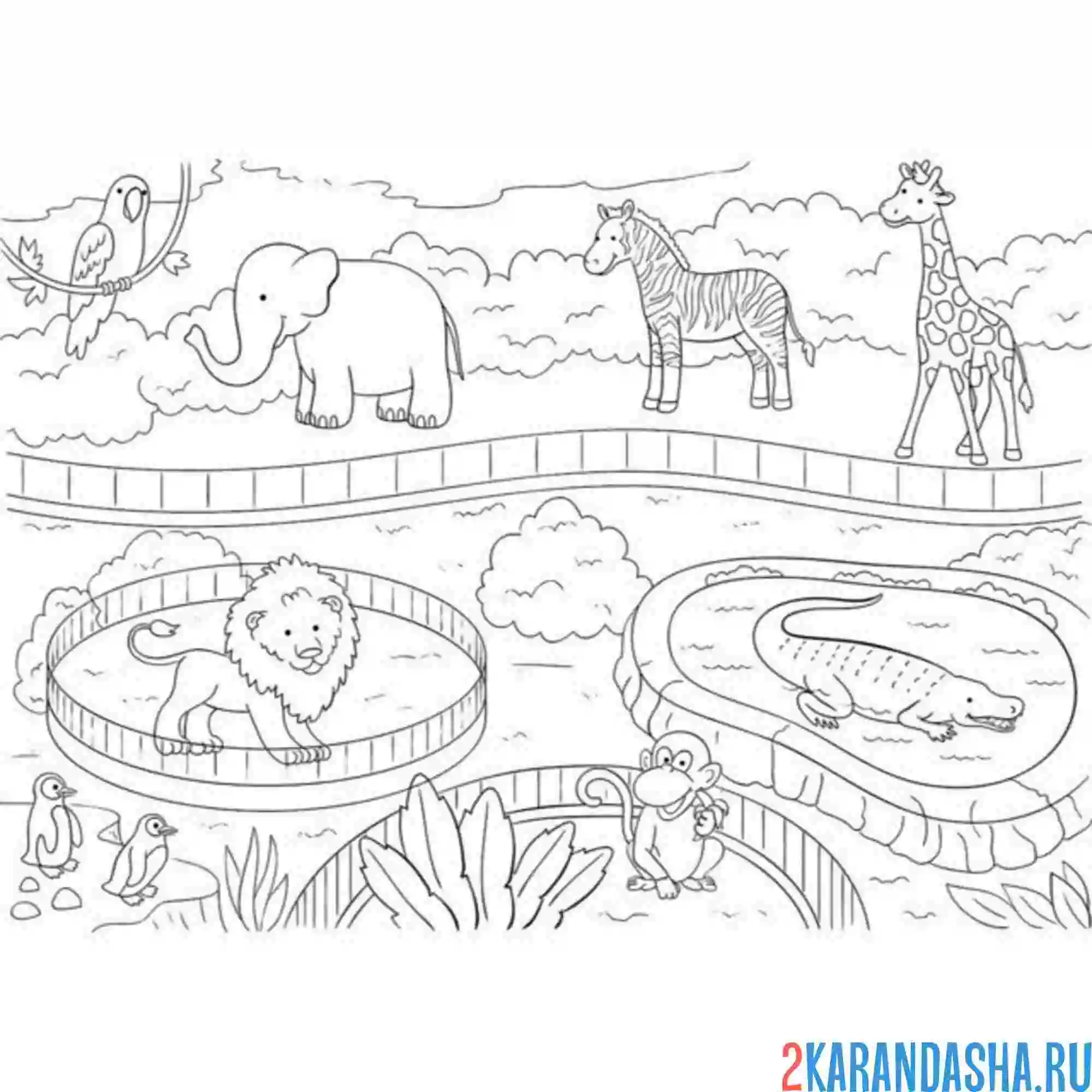 Раскраска зоопарк вольеры
