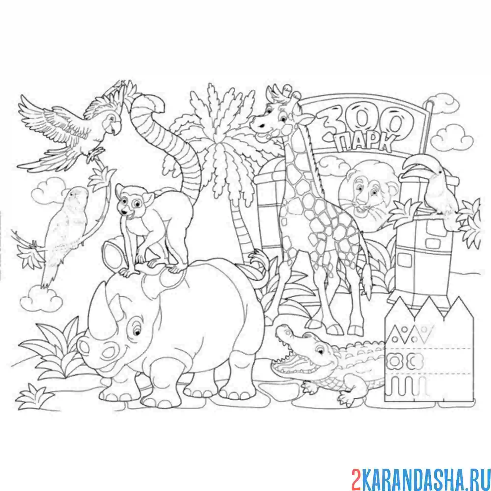 Раскраска животные из зоопарка