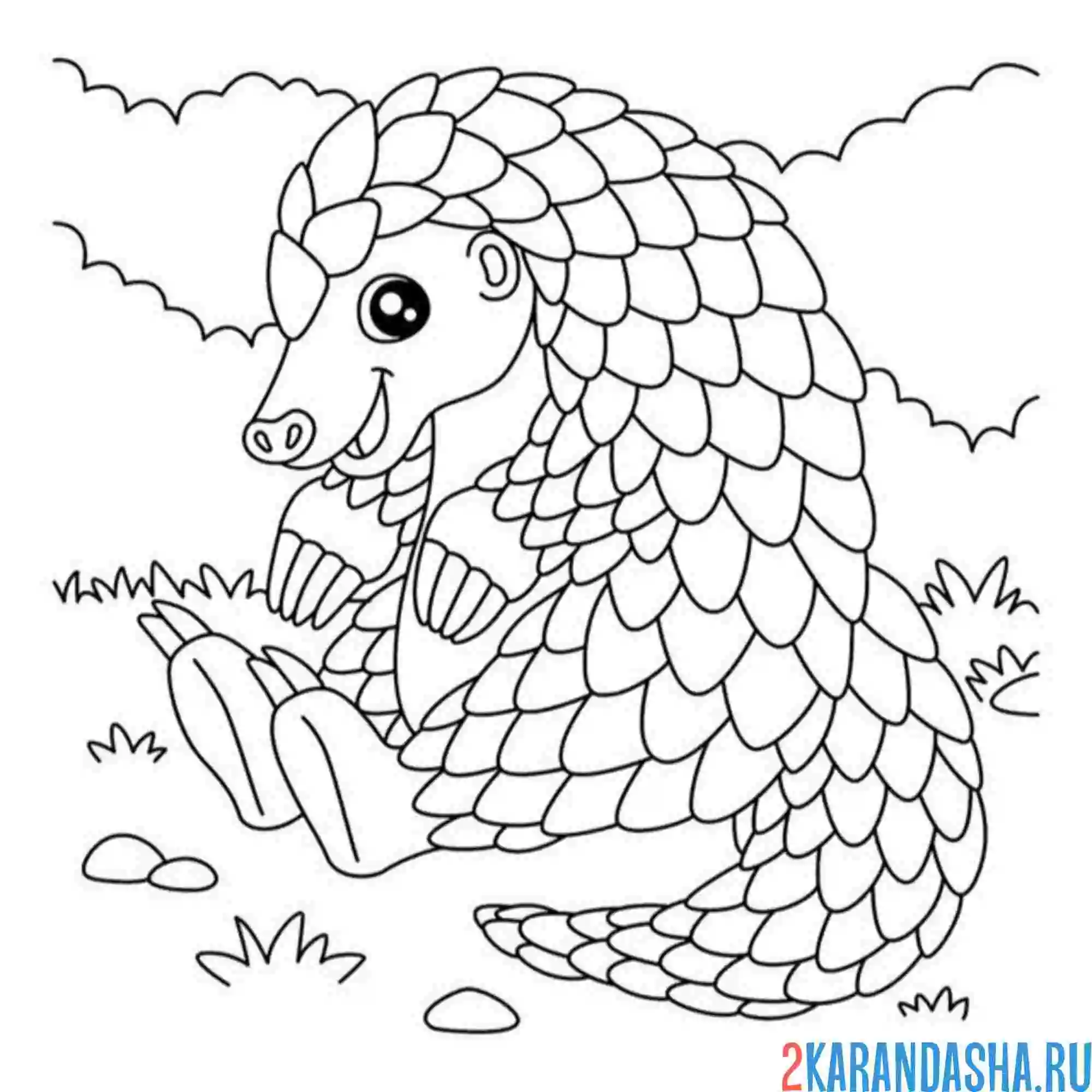 Раскраска броненосец в зоопарке
