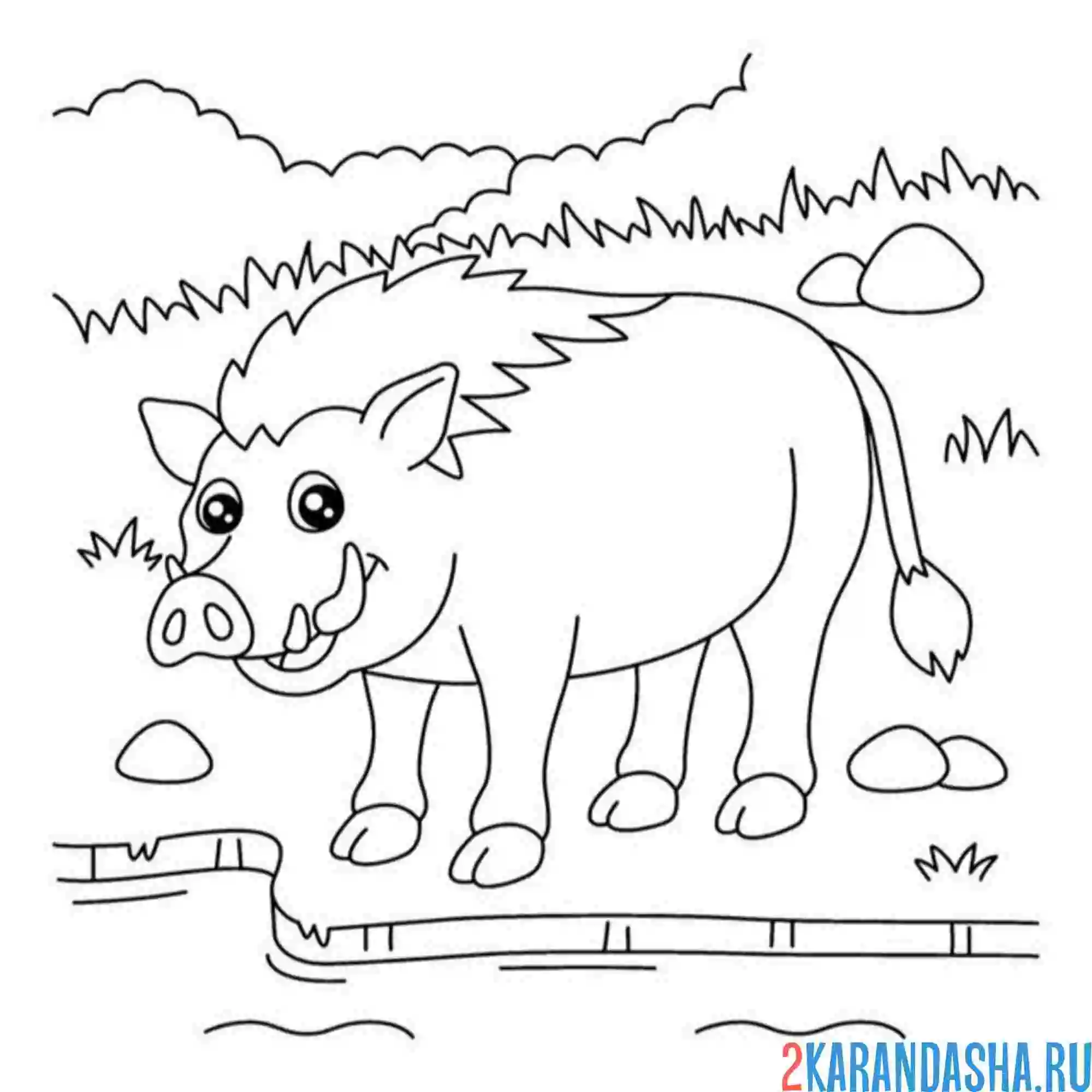 Раскраска кабан в зоопарке