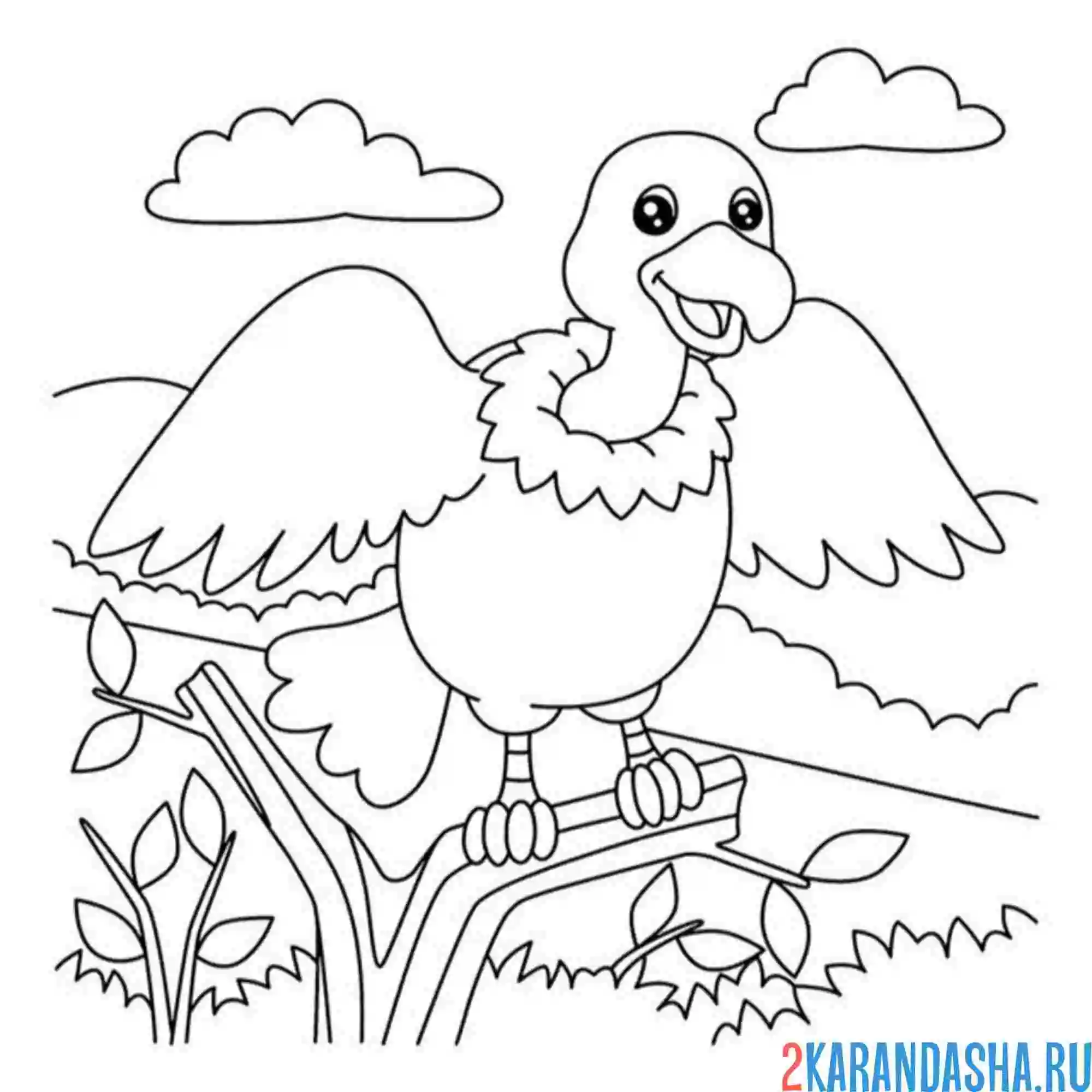 Раскраска стервятник птица зоопарк