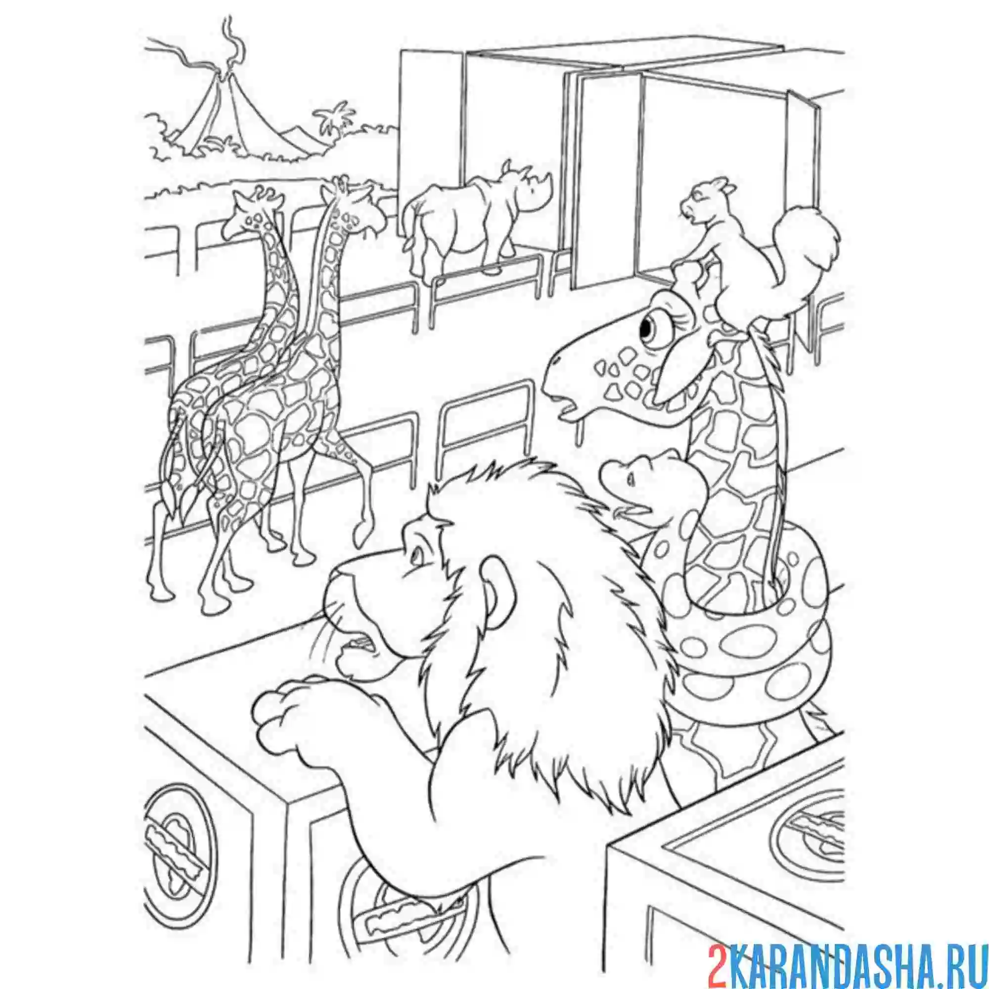 Раскраска животные из зоопарка мило