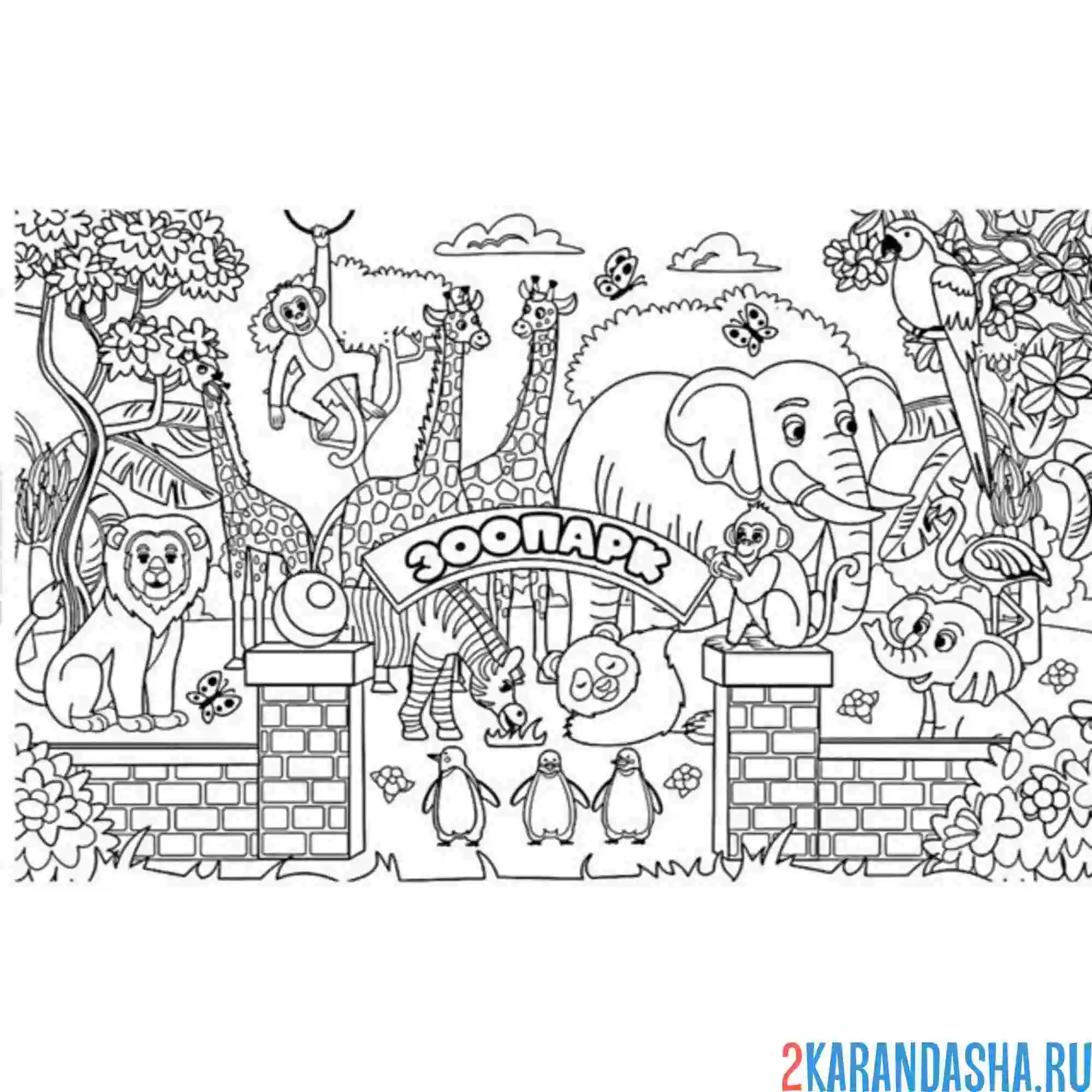 Раскраска зоопарк разнообразие животных