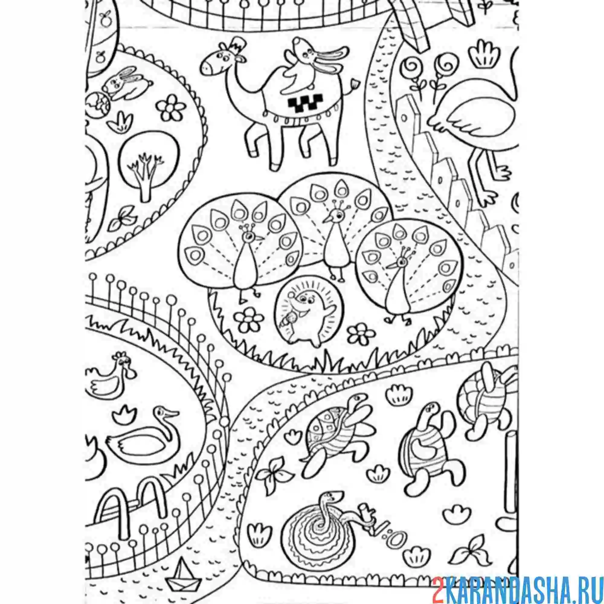 Раскраска зоопарк животные и вольеры