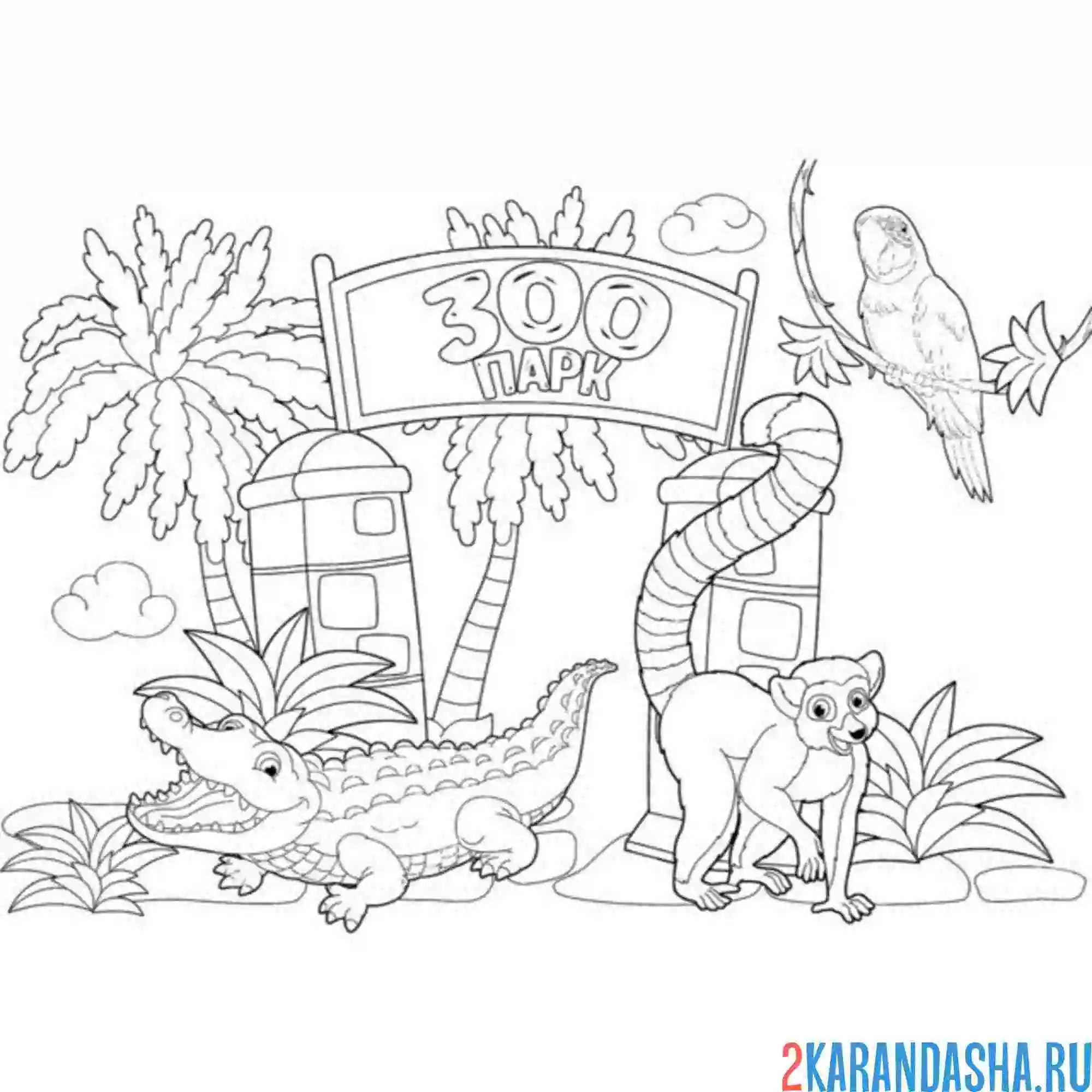 Раскраска зоопарк редкие животные