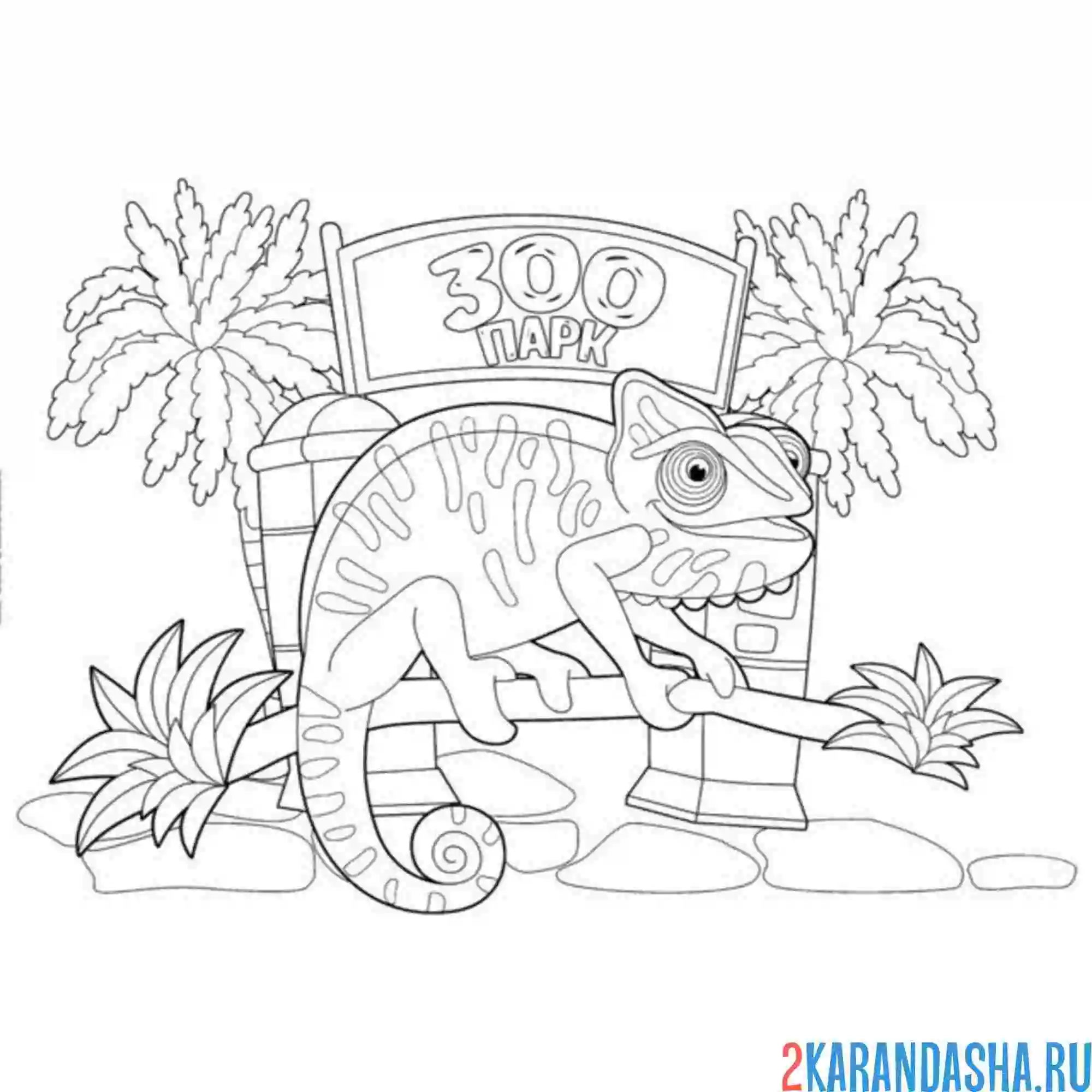 Раскраска зоопарк хамелеон
