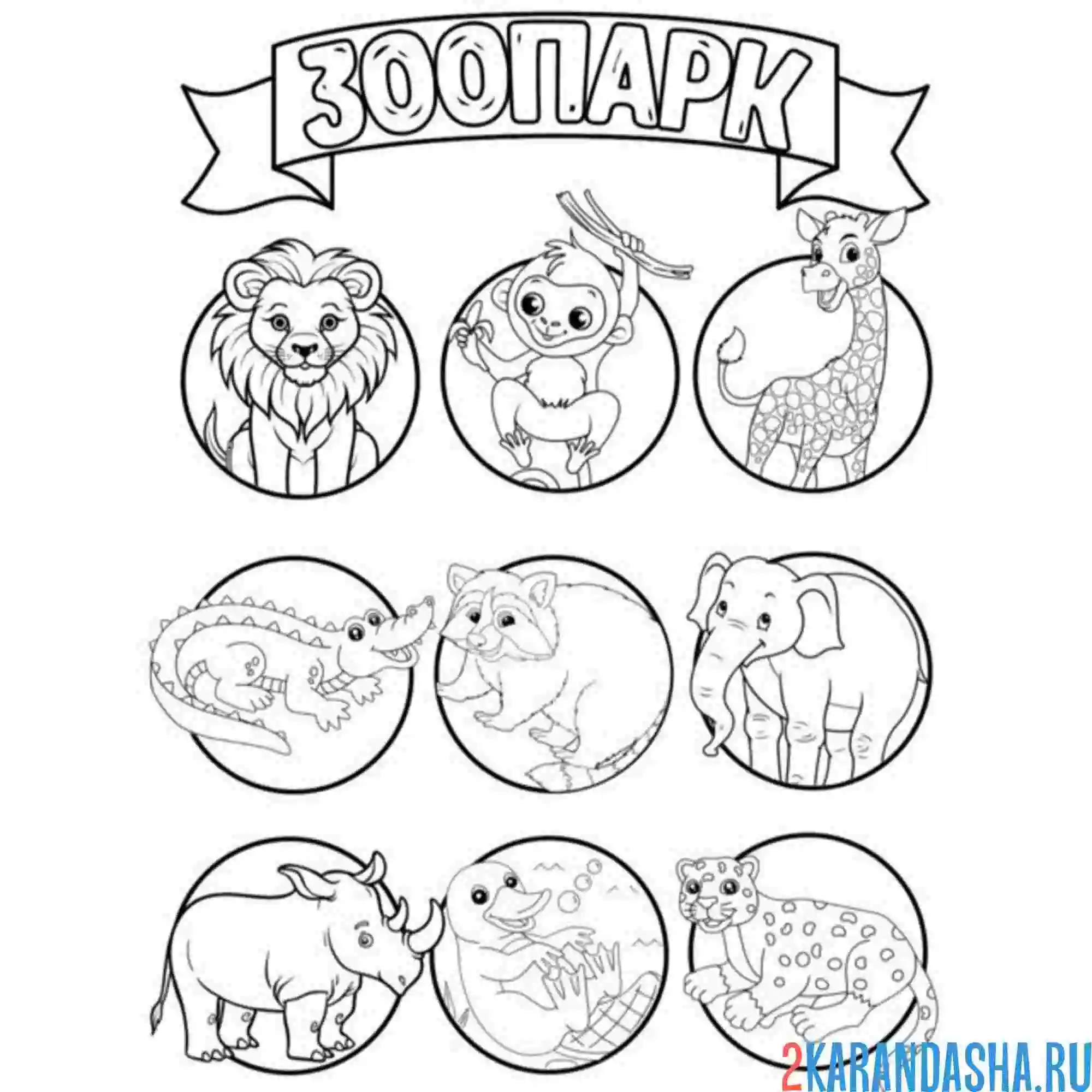 Раскраска зоопарк назови животных